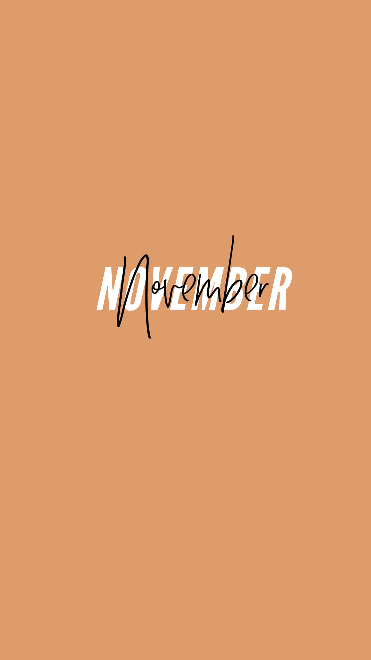 Aesthetic November 桌布 壁紙 — 「November」一詞以混合字體和區塊字體居中顯示在純色陶土背景上。