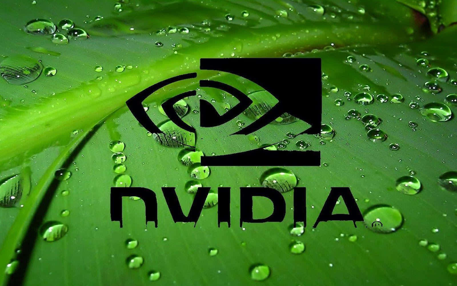 nvidia 桌布 壁紙 — Nvidia 標誌以黑色粗體字母和眼睛符號，放置在一片覆蓋著閃亮水滴的鮮綠色葉子上。