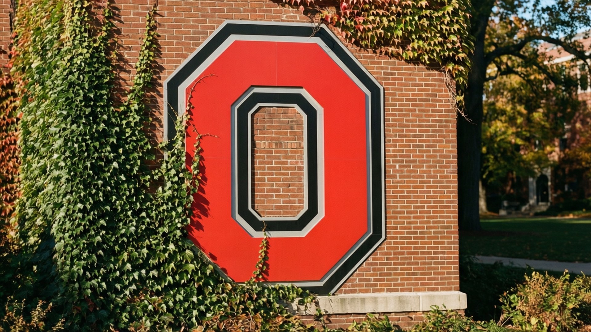 桌布 壁紙 — 一個帶有黑白邊框的大型紅色俄亥俄州立大學「O」標誌矗立在秋天部分被綠色常春藤覆蓋的磚牆上。