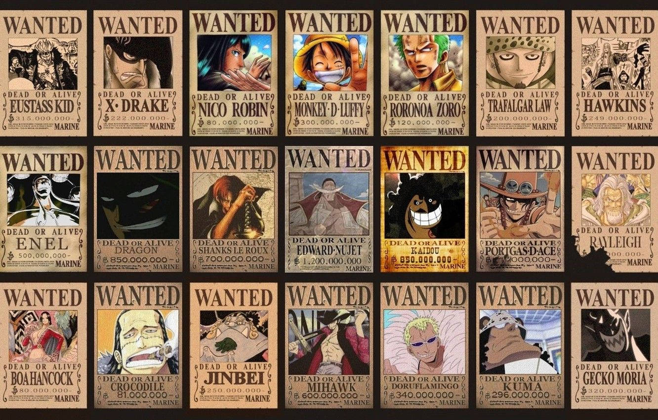 monkey d dragon 桌布 壁紙 — One Piece 動畫懸賞海報網格，包含魯夫、索隆、羅等賞金獵人，角色藝術生動，文字粗體。