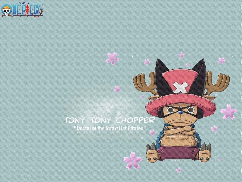 醫生 桌布 壁紙 — One Piece 的喬巴盤腿坐在淺藍色背景前，周圍有飄浮的粉紅色櫻花。