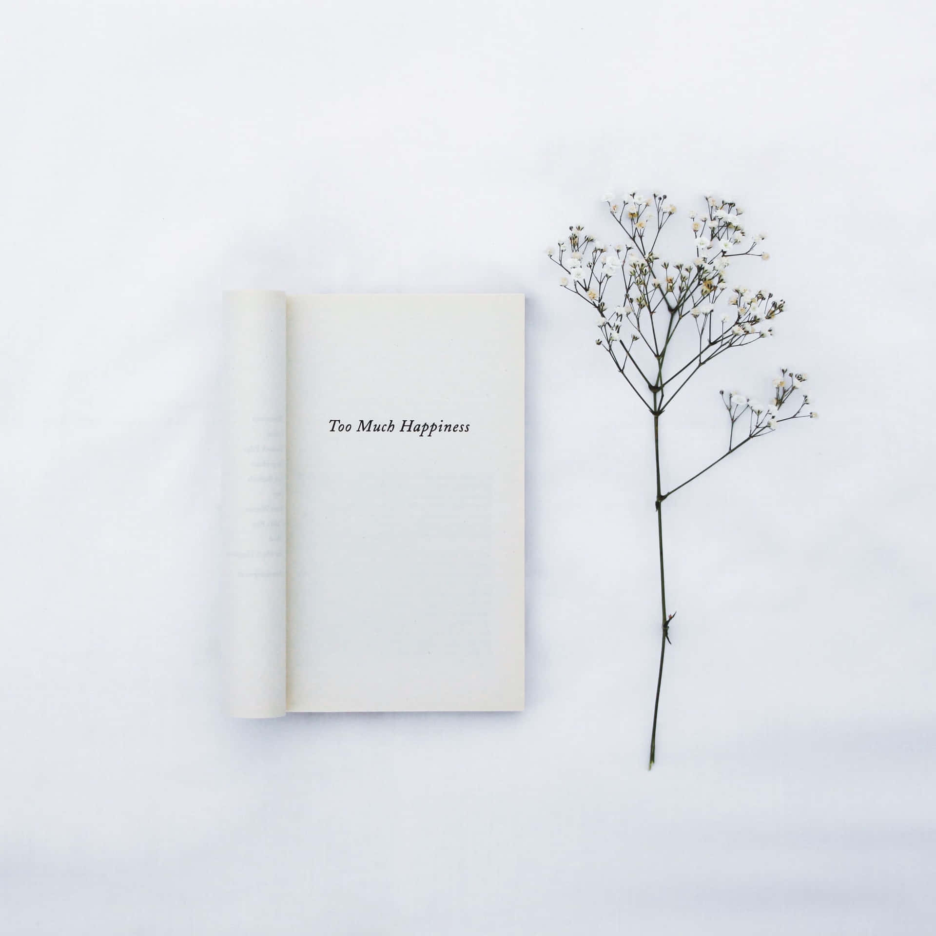 打開的書，書名《Too Much Happiness》，旁邊有乾花枝，白色背景。 — iPad 壁紙