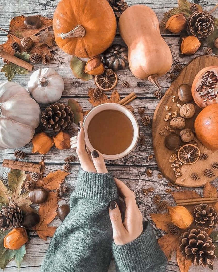 美學秋季 桌布 壁紙 — Overhead view of hands holding a mug of warm drink surrounded by autumn pumpkins pinecones and dried leaves on a rustic wooden table.