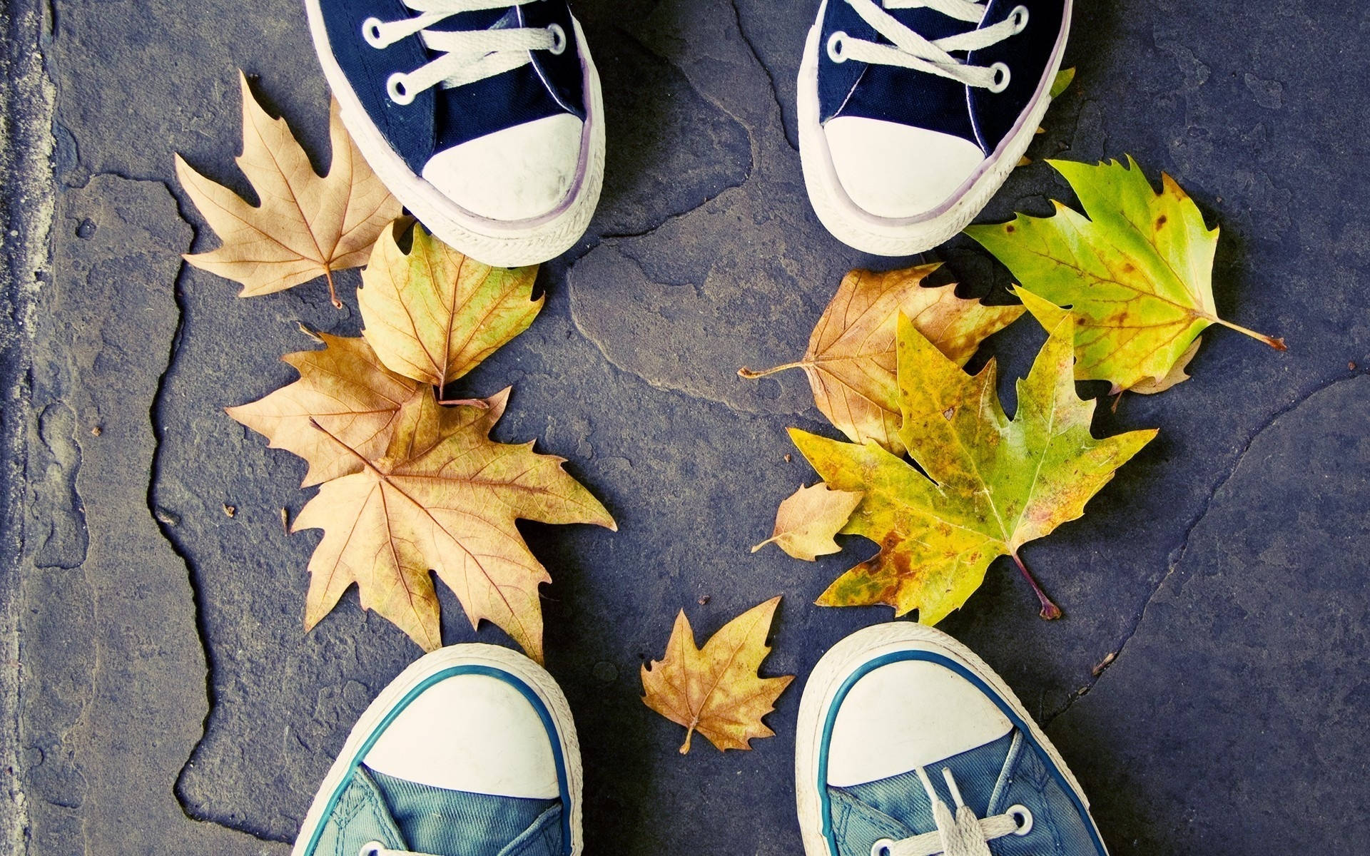 Converse 桌布 壁紙 — Overhead view of navy blue sneakers surrounded by scattered autumn maple leaves on dark stone pavement.