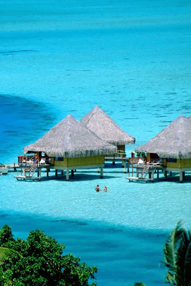 Bora Bora 桌布 壁紙 — Overhead view of overwater bungalows with thatched roofs floating on crystal clear turquoise water with two people swimming nearby.