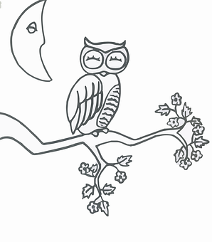 Owlon 分支線藝術 壁紙