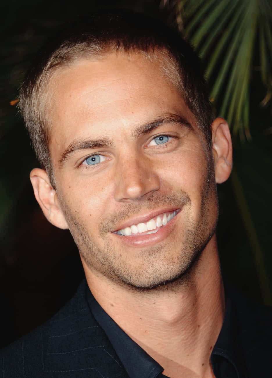 Paul Walker 桌布 壁紙 — Paul Walker 的特寫肖像，溫暖地微笑，擁有明亮的藍色眼睛，背景是暗色模糊的棕櫚葉。