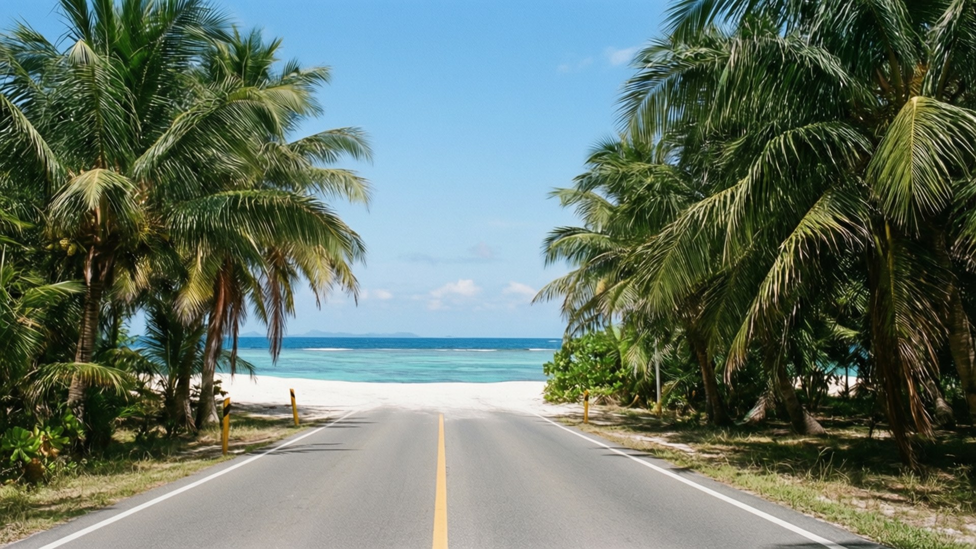 Tropical Coastal Road 壁紙 — 一條鋪砌的道路兩旁種滿茂密的棕櫚樹，直通純淨的白色沙灘和碧綠的海洋，天空清澈湛藍。