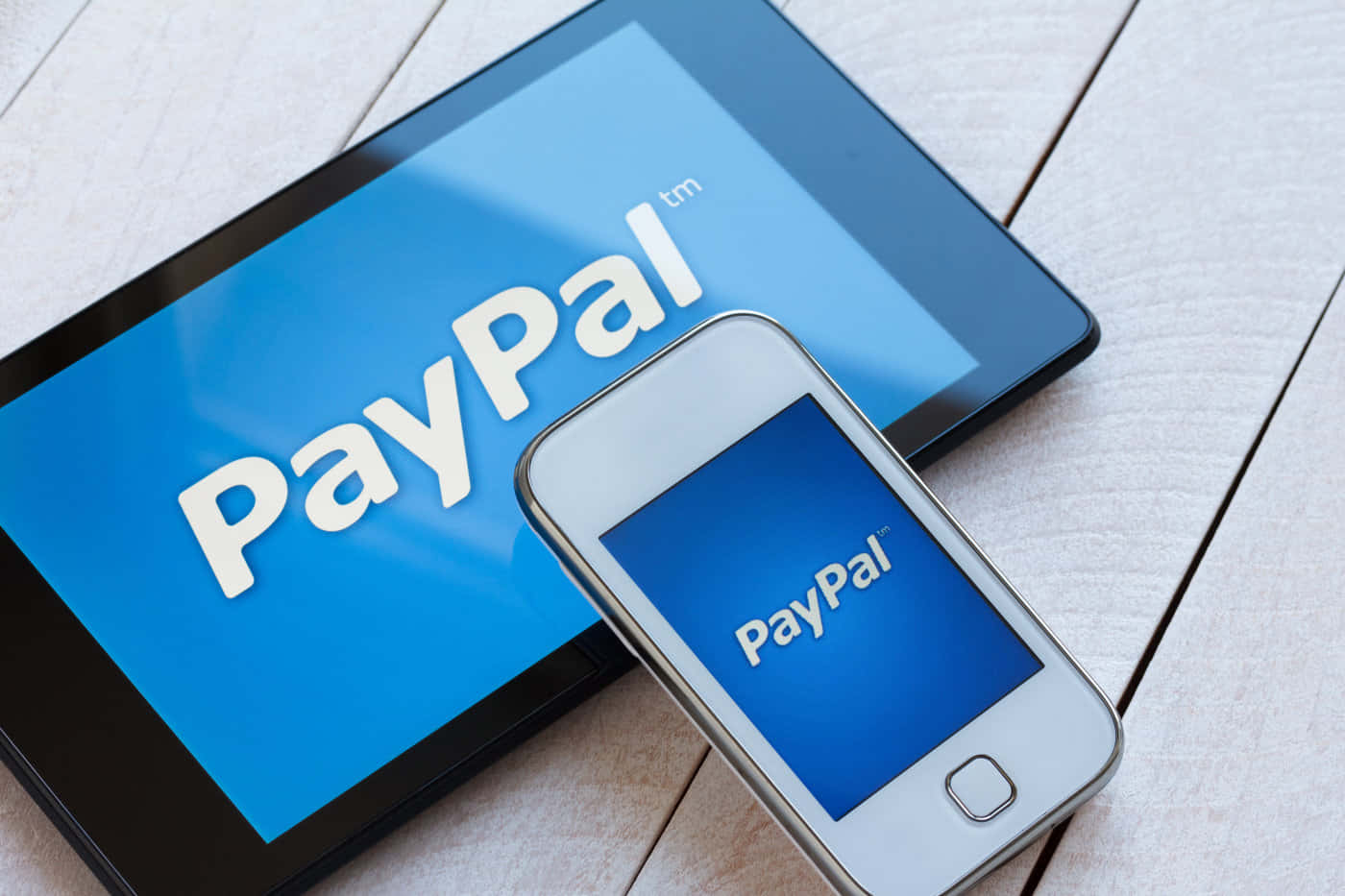 PayPal 標誌顯示在手機上 壁紙