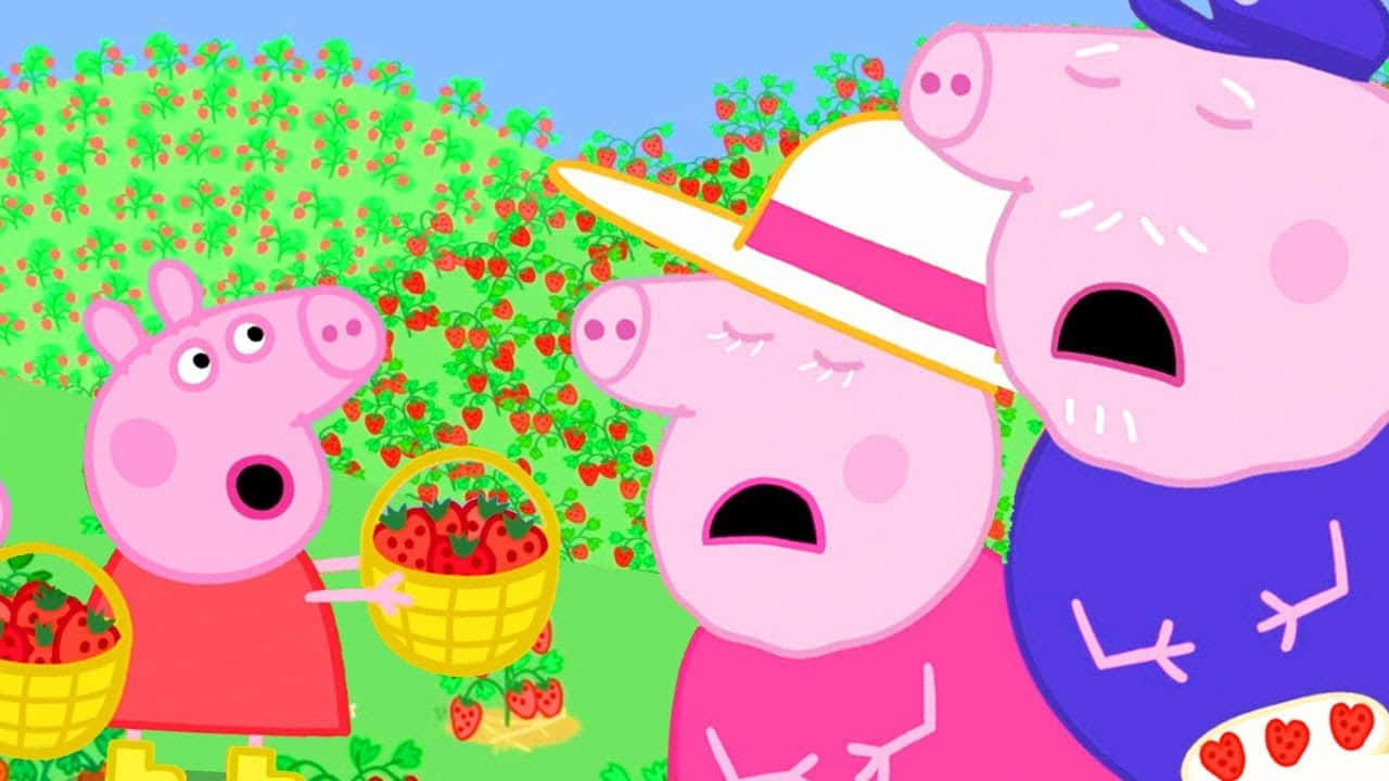 Grandpa Pig 桌布 壁紙 — 佩佩豬和家人在充滿活力的花園裡摘草莓時驚訝地倒吸一口氣。