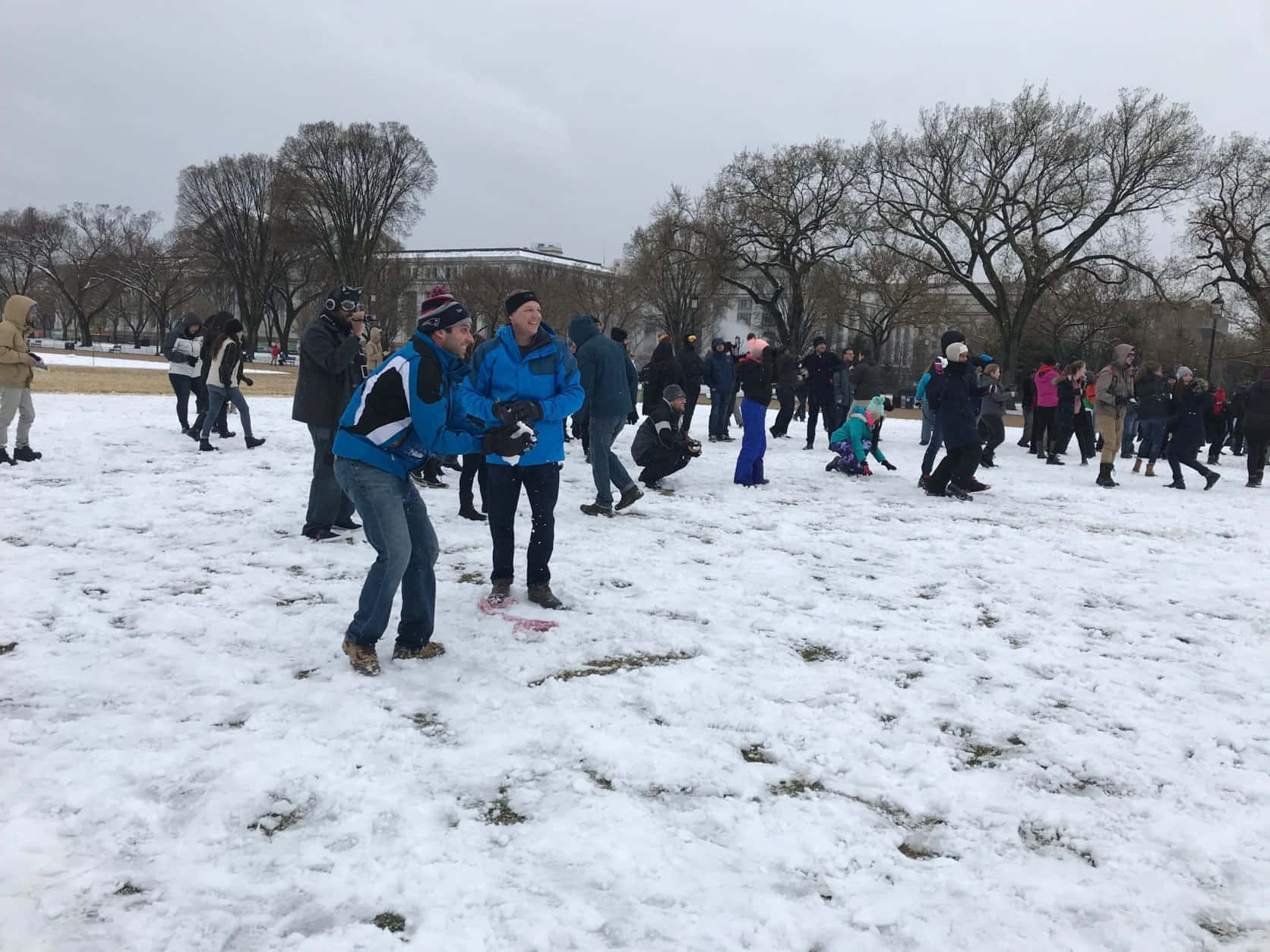  壁紙 — 人們在積雪公園中玩雪球大戰，周圍有光禿禿的樹木和陰天。