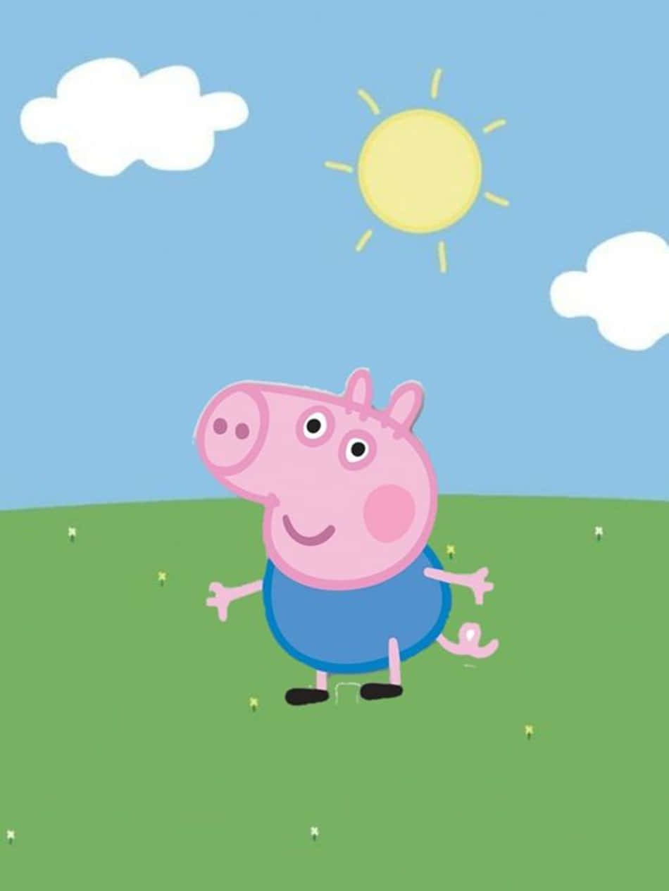 George Pig 桌布 壁紙 — Peppa Pig 在晴朗的藍天白雲和明亮的黃色太陽下，開心地站在綠色的草地上。