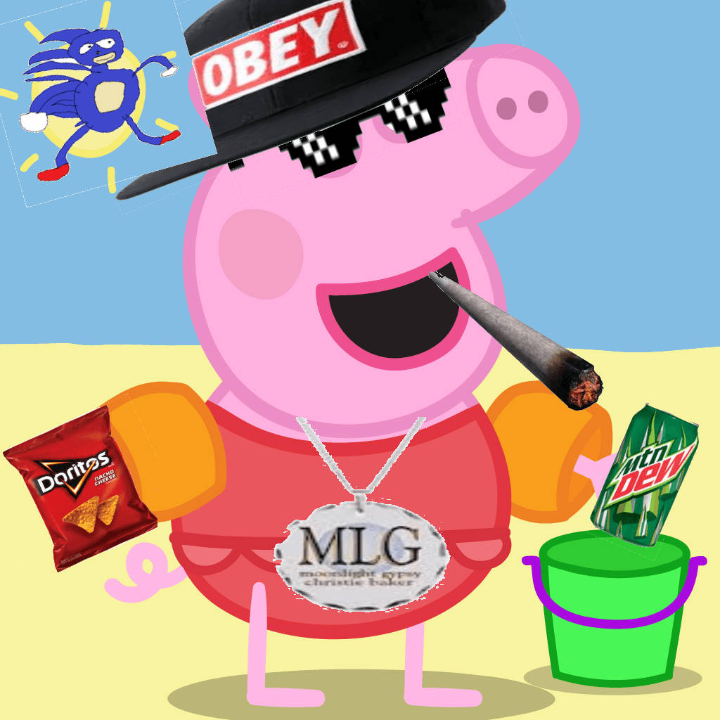 Peppa 桌布 壁紙 — Peppa Pig 戴著黑色 'OBEY' 帽和像素化太陽眼鏡，在綠色水桶附近抽煙，同時拿著 Doritos 和 Mountain Dew。