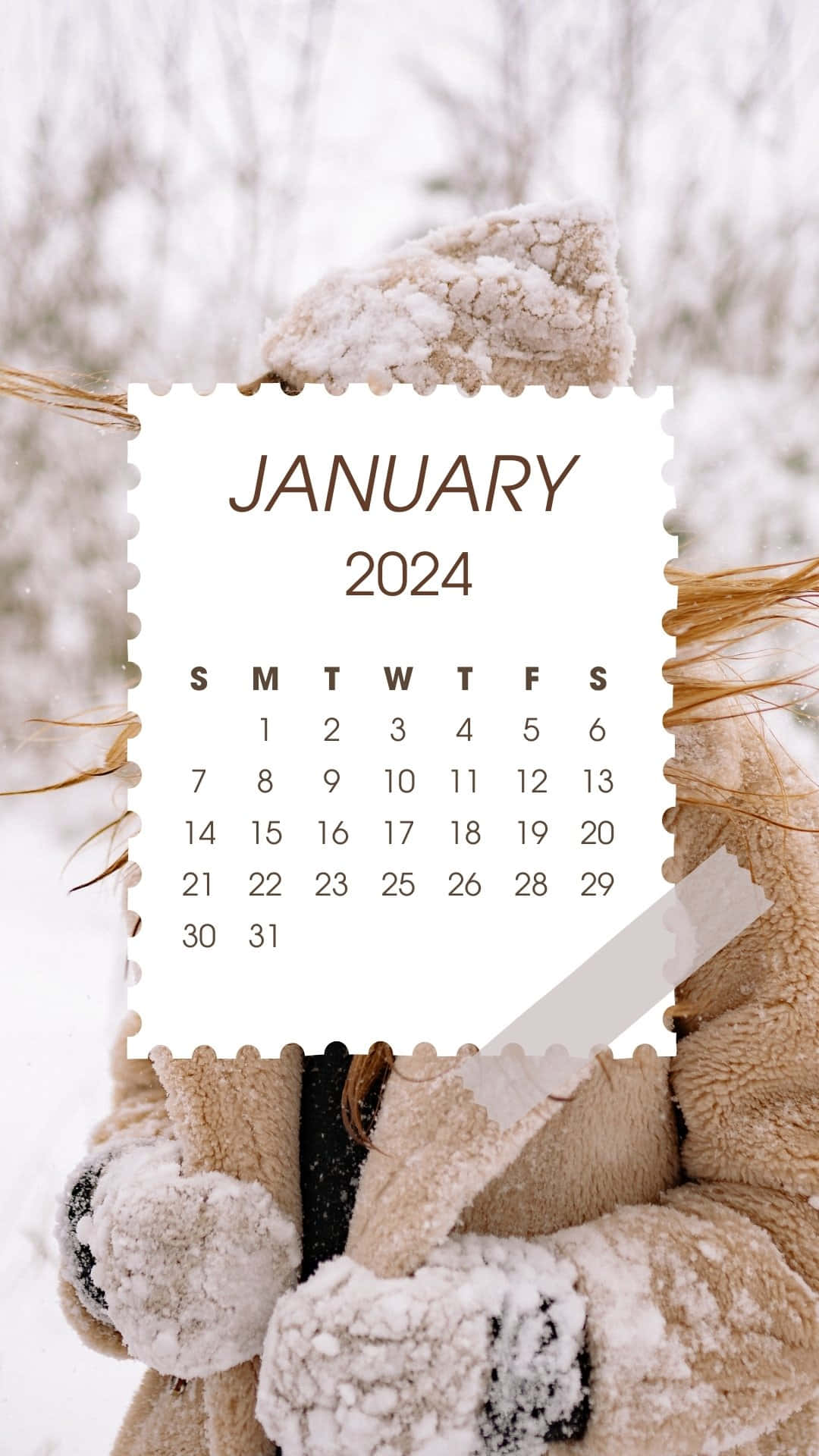  壁紙 — 一個人穿著舒適的米色冬季外套，在雪地森林背景下拿著2024年1月的日曆。