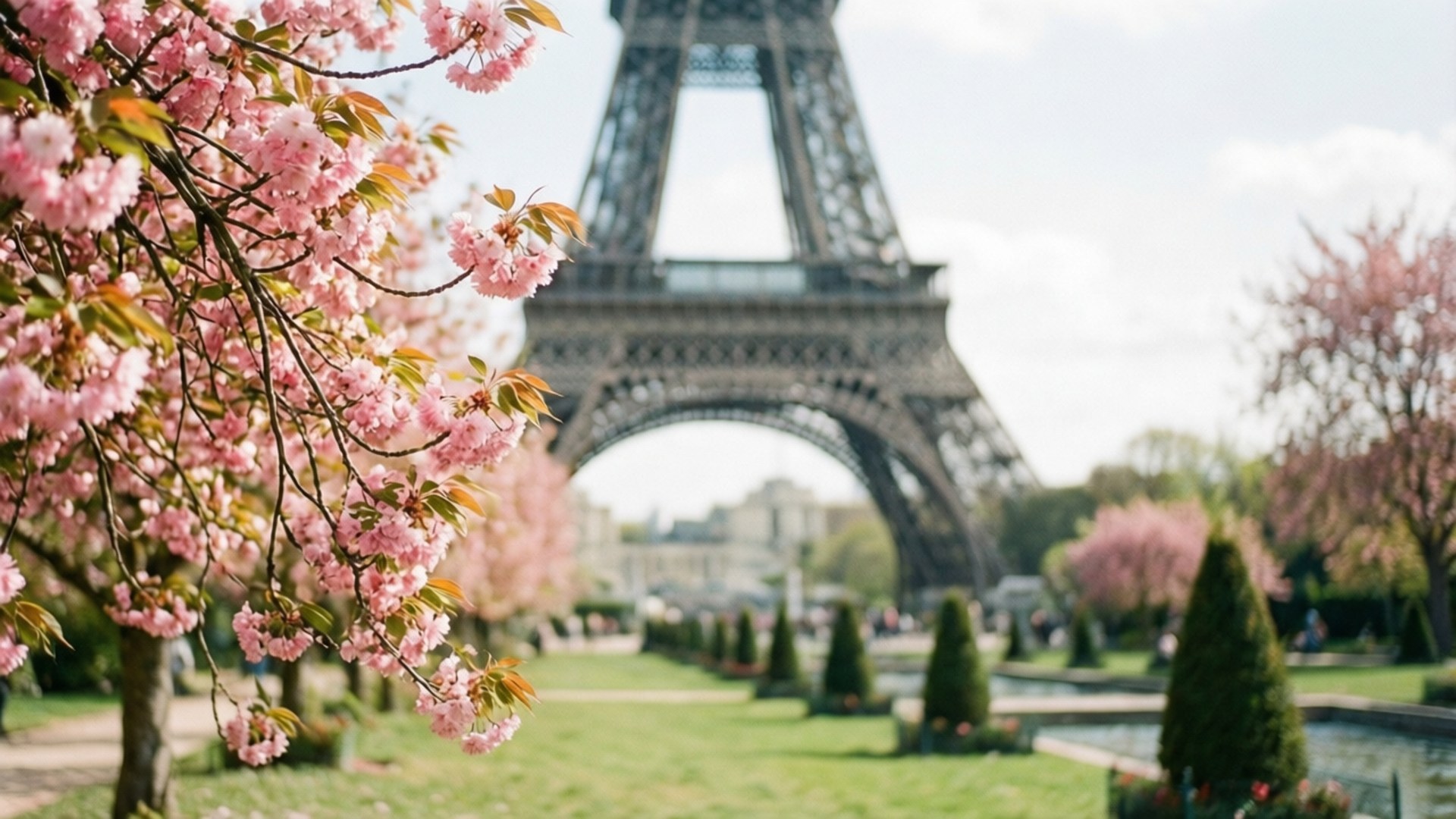 Springtime in Paris 壁紙 — 粉紅色的櫻花環繞著艾菲爾鐵塔，位於陽光明媚的巴黎公園，有修剪整齊的樹籬和反射的池塘。