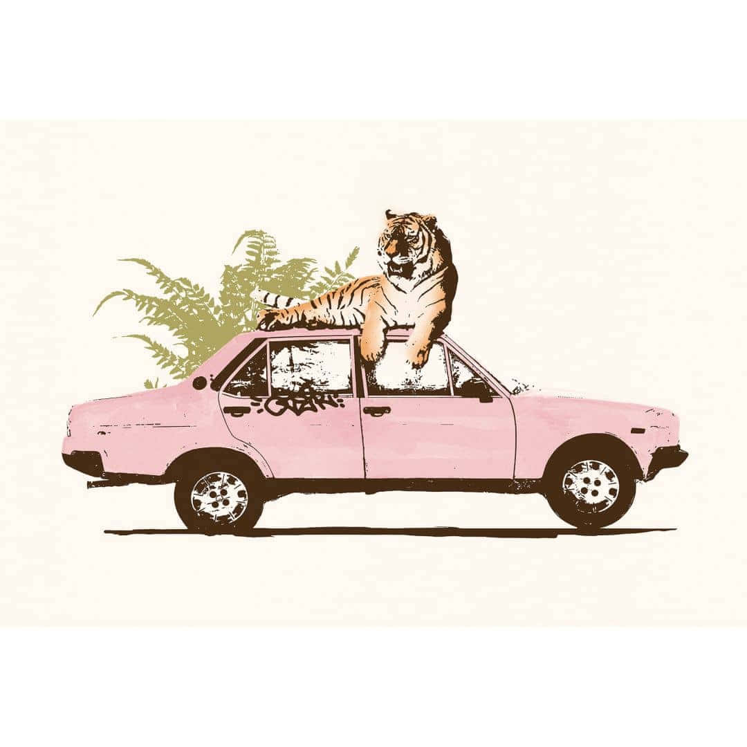  壁紙 — 一輛粉紅色復古車，車頂有一隻老虎在休息，車尾長出蕨類植物。