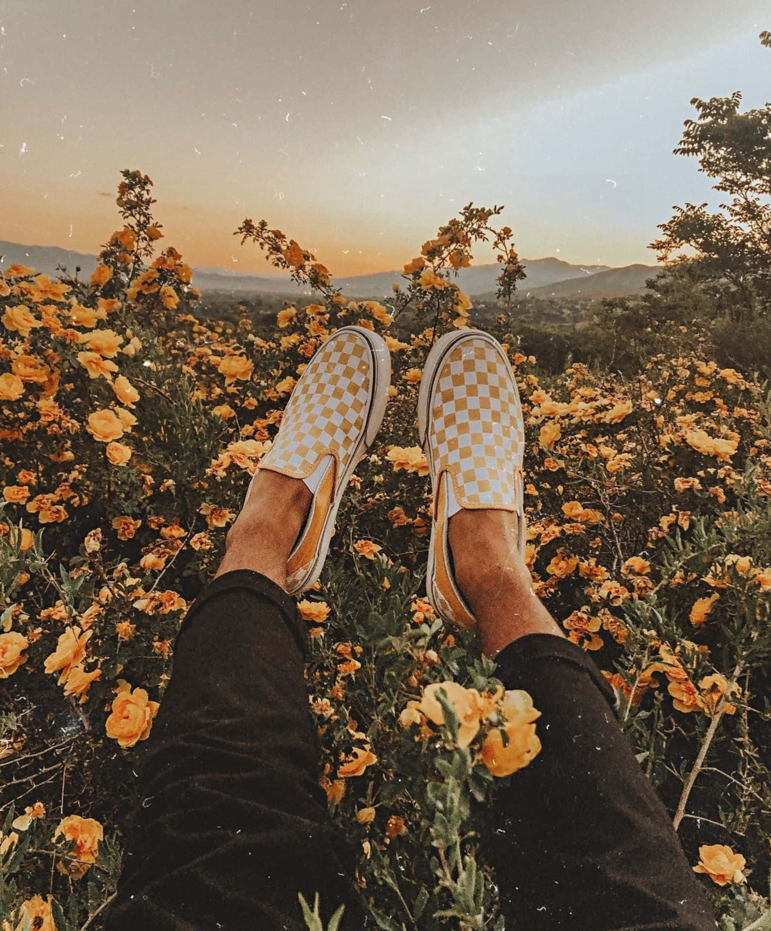 Pinterest 圖片 壁紙