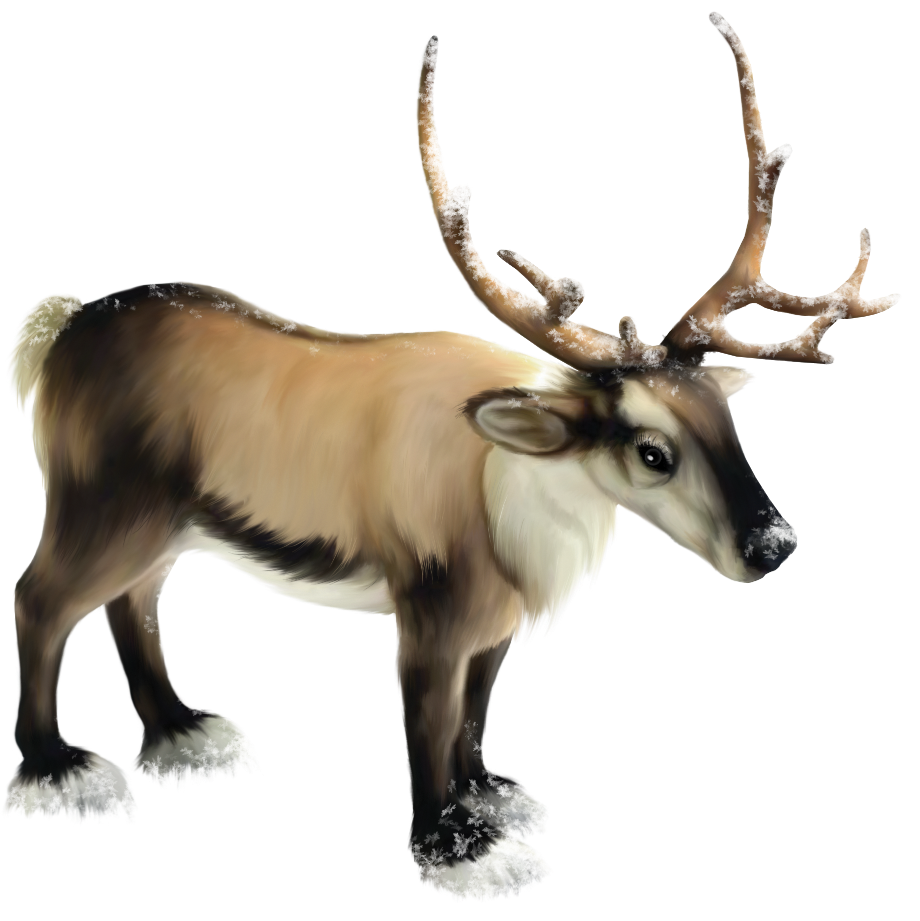 雪地鹿角麋鹿插畫.PNG 壁紙