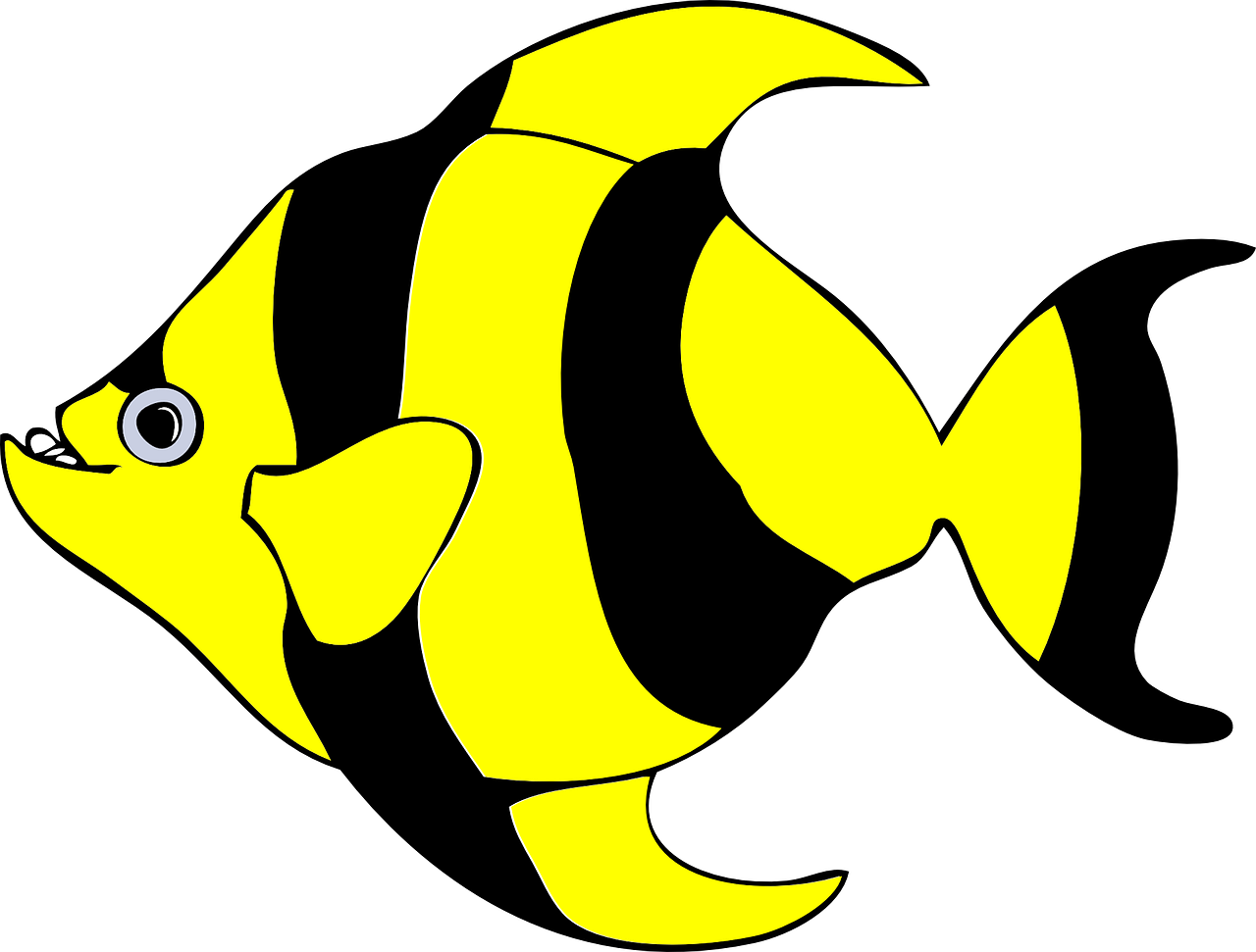 黃黑熱帶魚插圖.PNG 壁紙