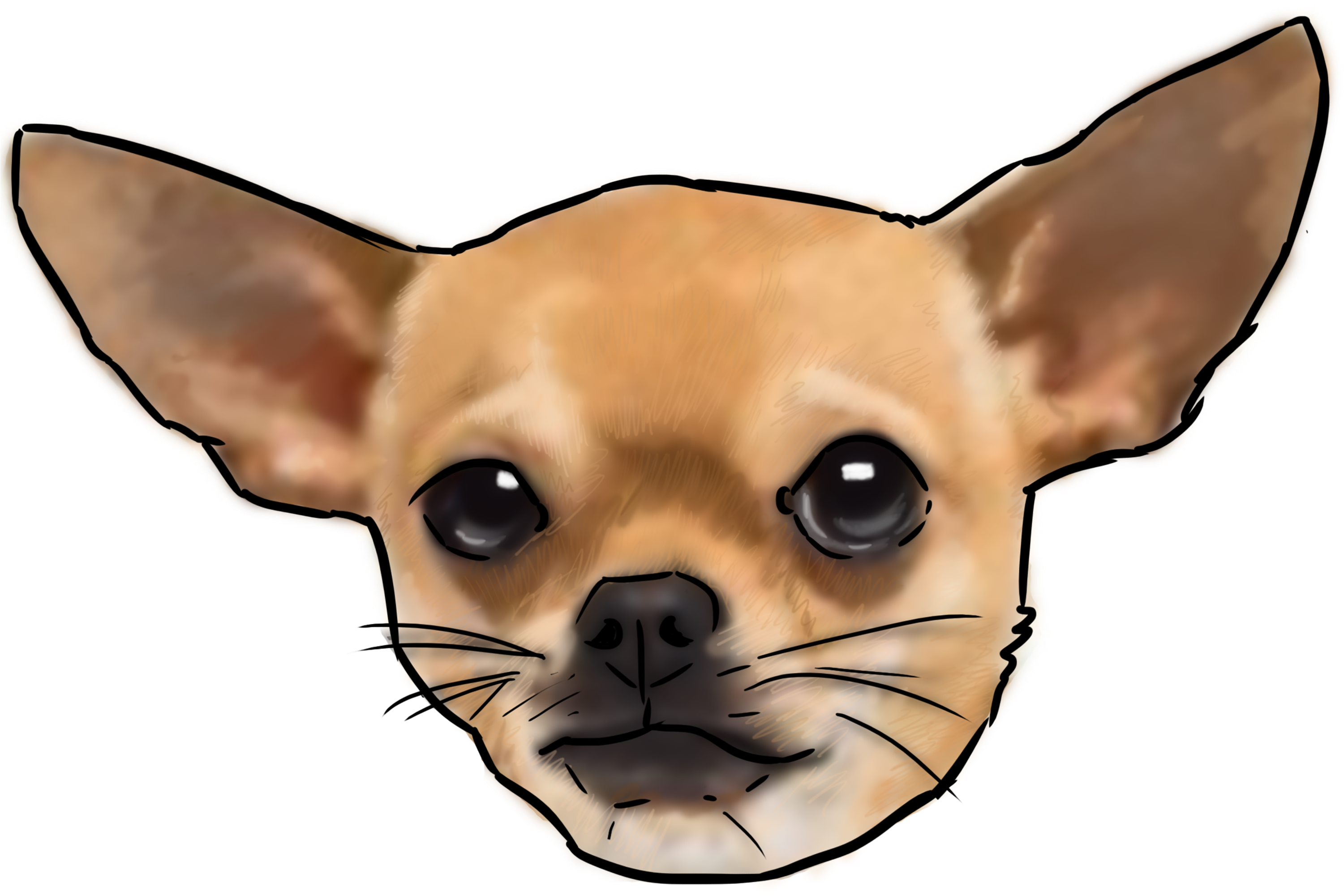吉娃娃頭插圖.PNG 壁紙