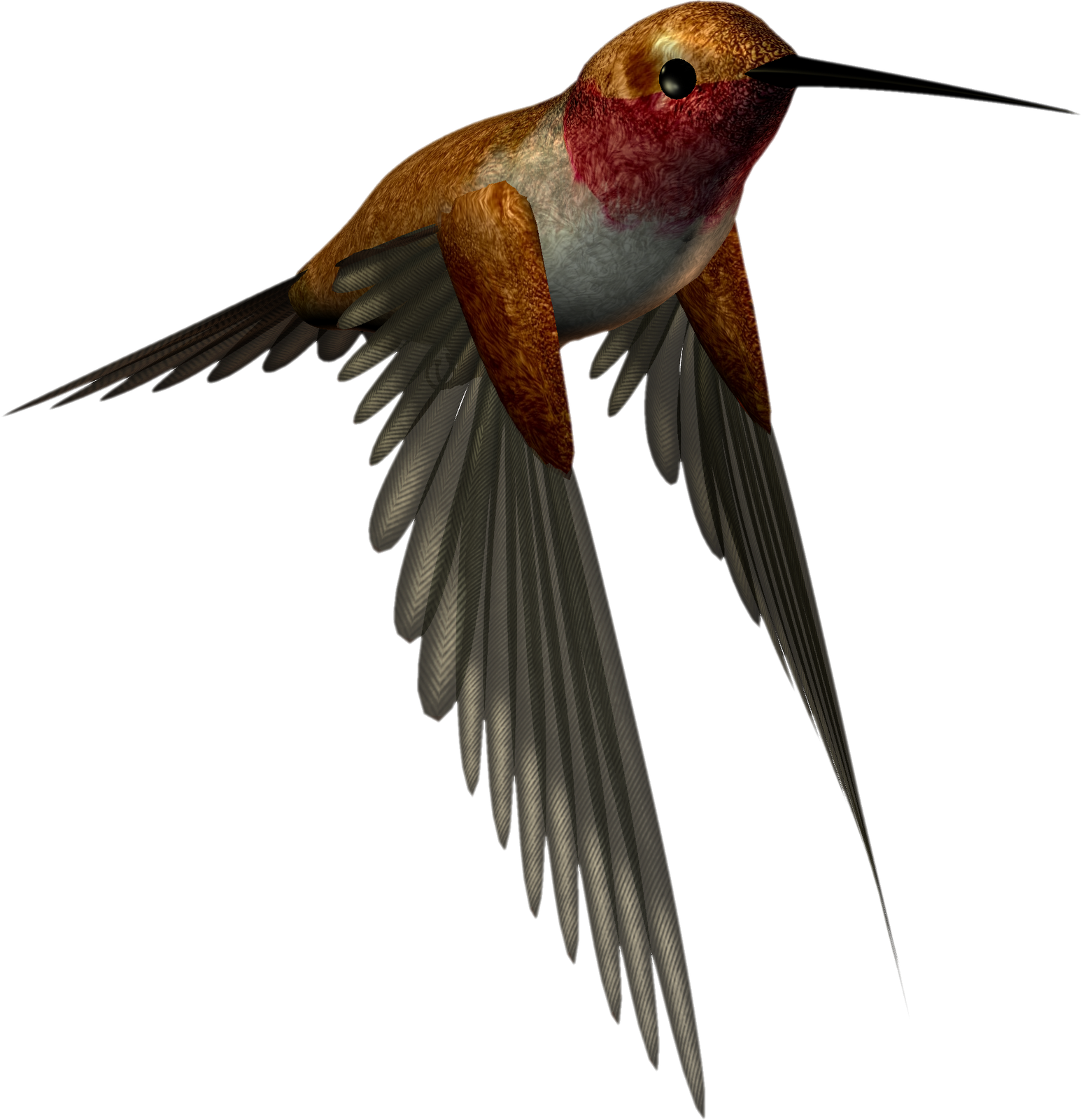 紅喉蜂鳥插圖.PNG 壁紙