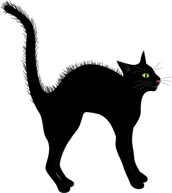 警覺黑貓插圖.PNG 壁紙