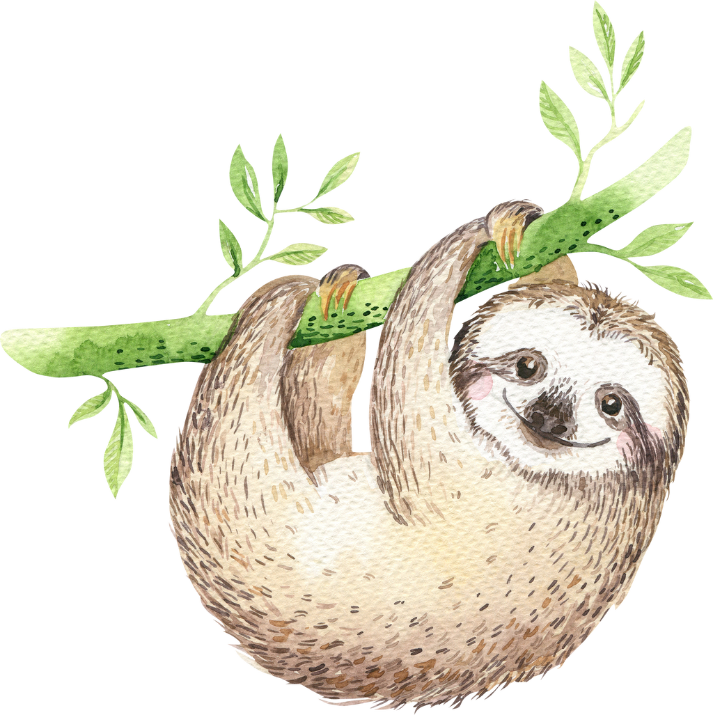 樹懶吊掛插畫.PNG 壁紙