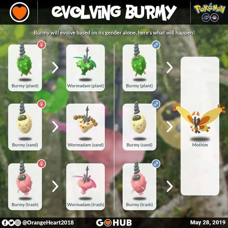 桌布 壁紙 — Pokémon GO 資訊圖表，顯示結草兒基於性別和環境類型的進化路徑。