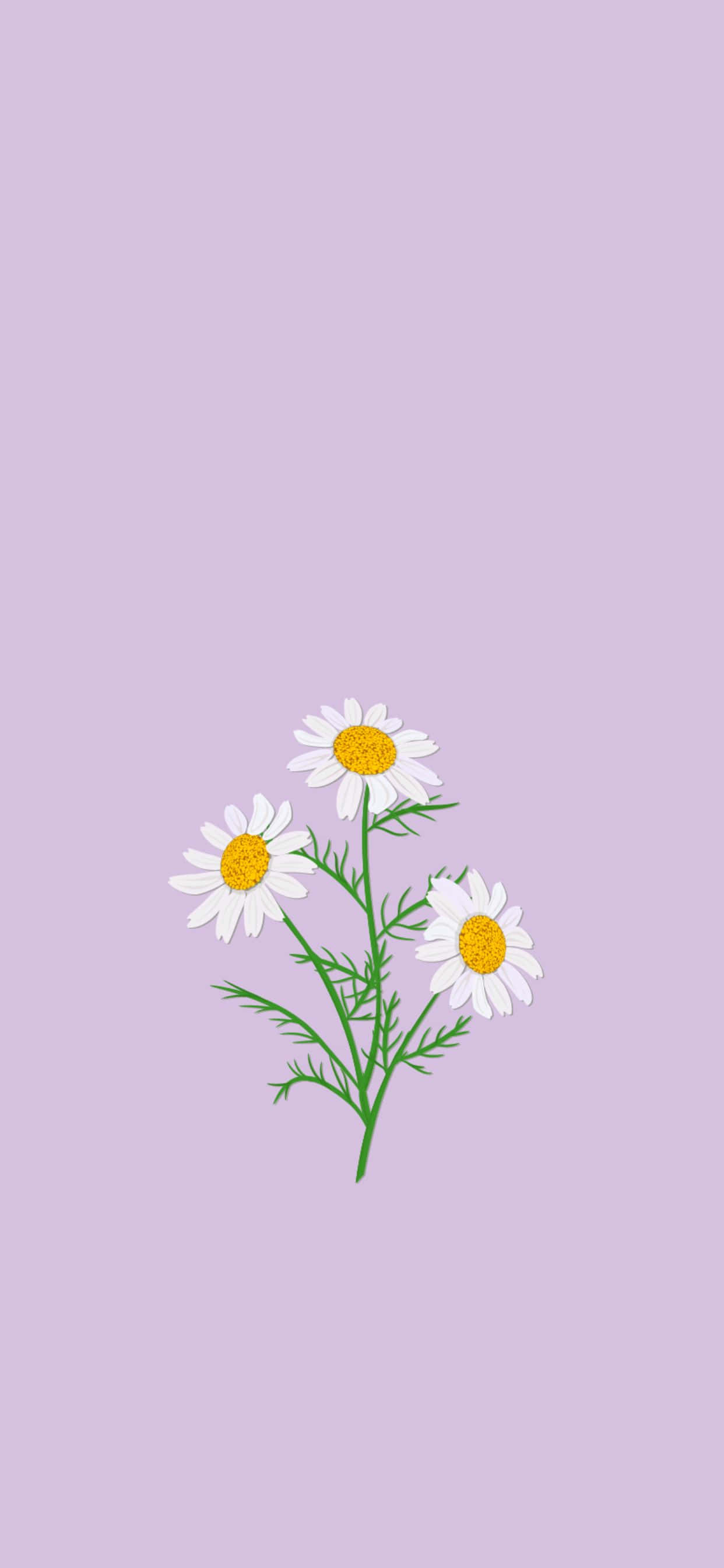 Pretty Phone 1242 x 2688 背景 壁紙