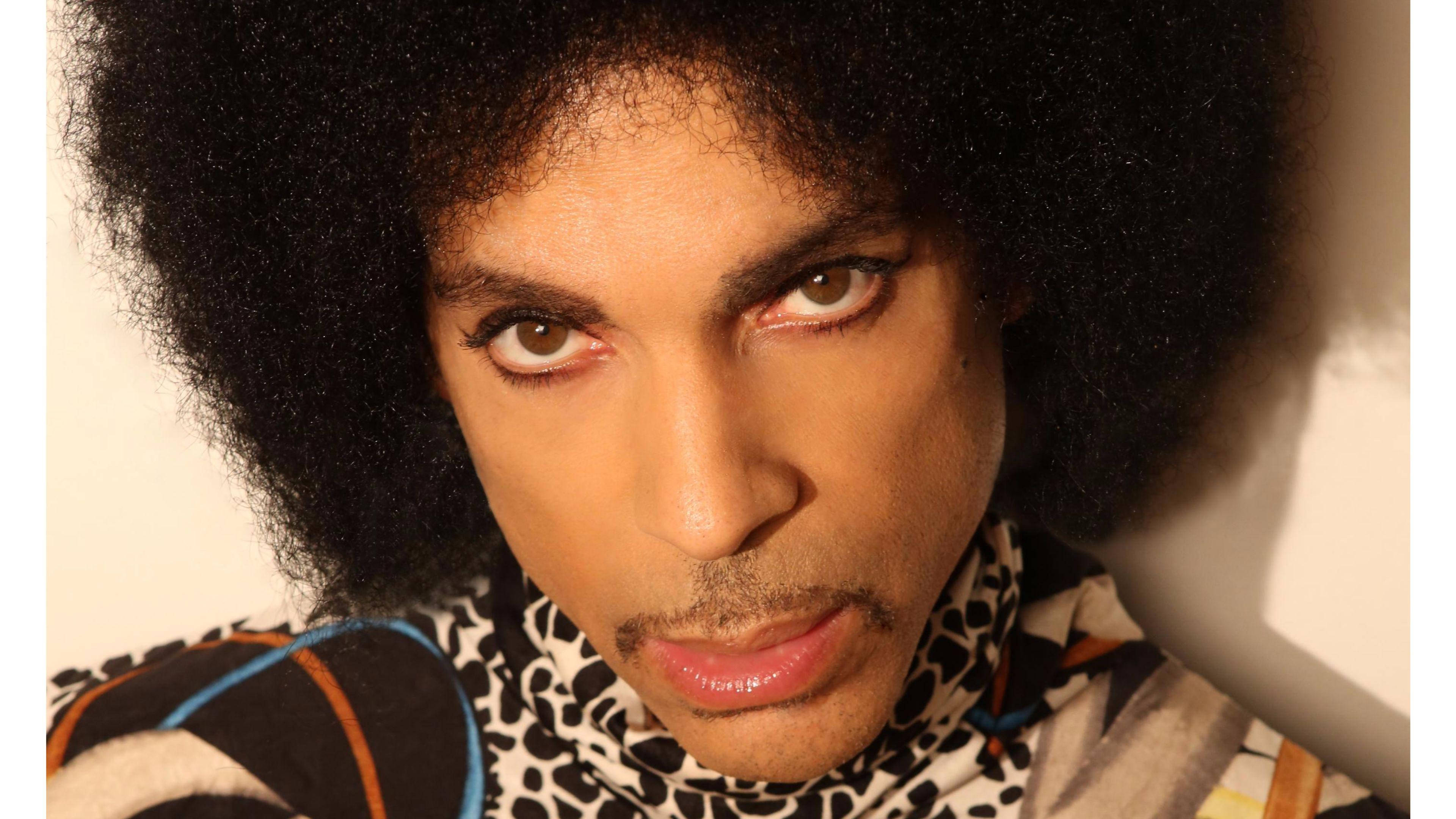 王子 桌布 壁紙 — Prince 以豐盈的非洲爆炸頭和誇張的化妝，在純色背景前凝視。