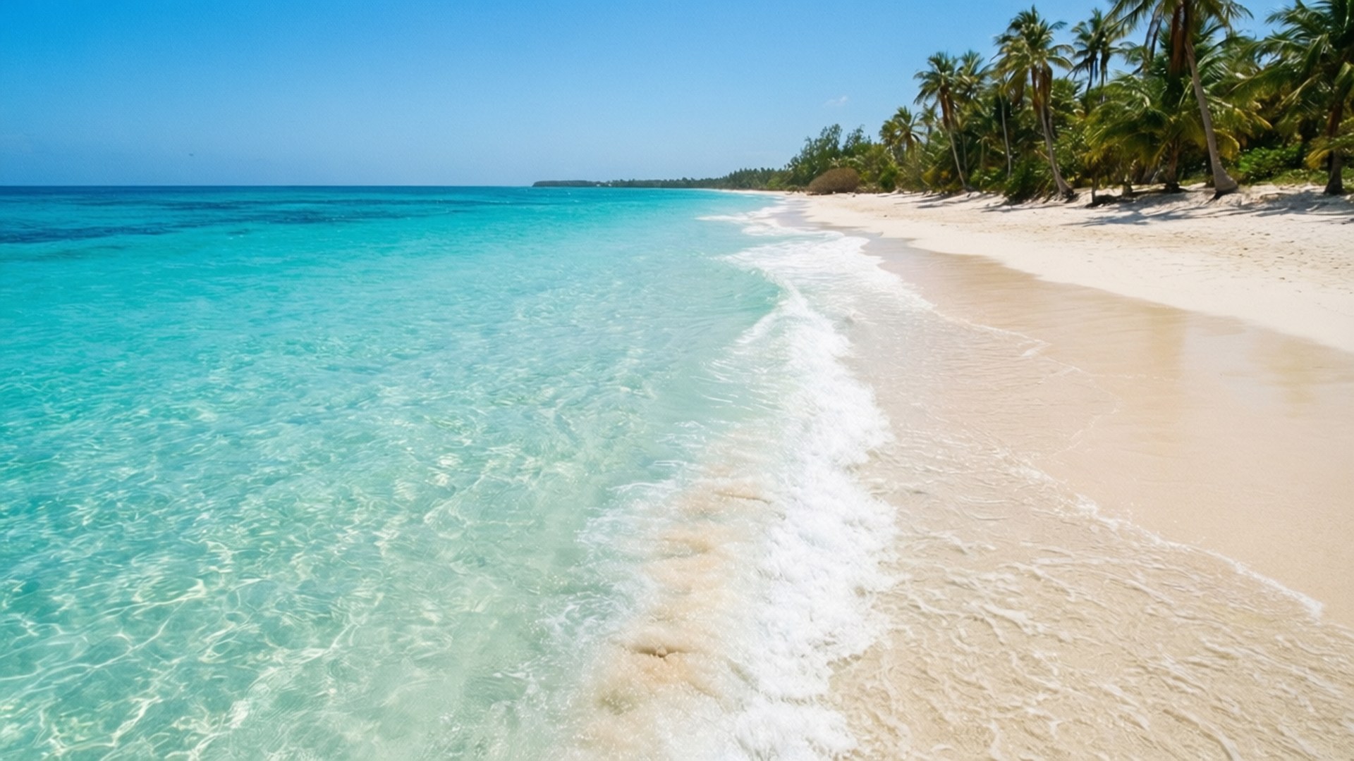 Tropical Beach Paradise 壁紙 — 清澈的碧綠海浪輕輕拍打著粉白色的沙灘，沙灘兩旁種滿搖曳的棕櫚樹，頭頂是明亮的藍天。