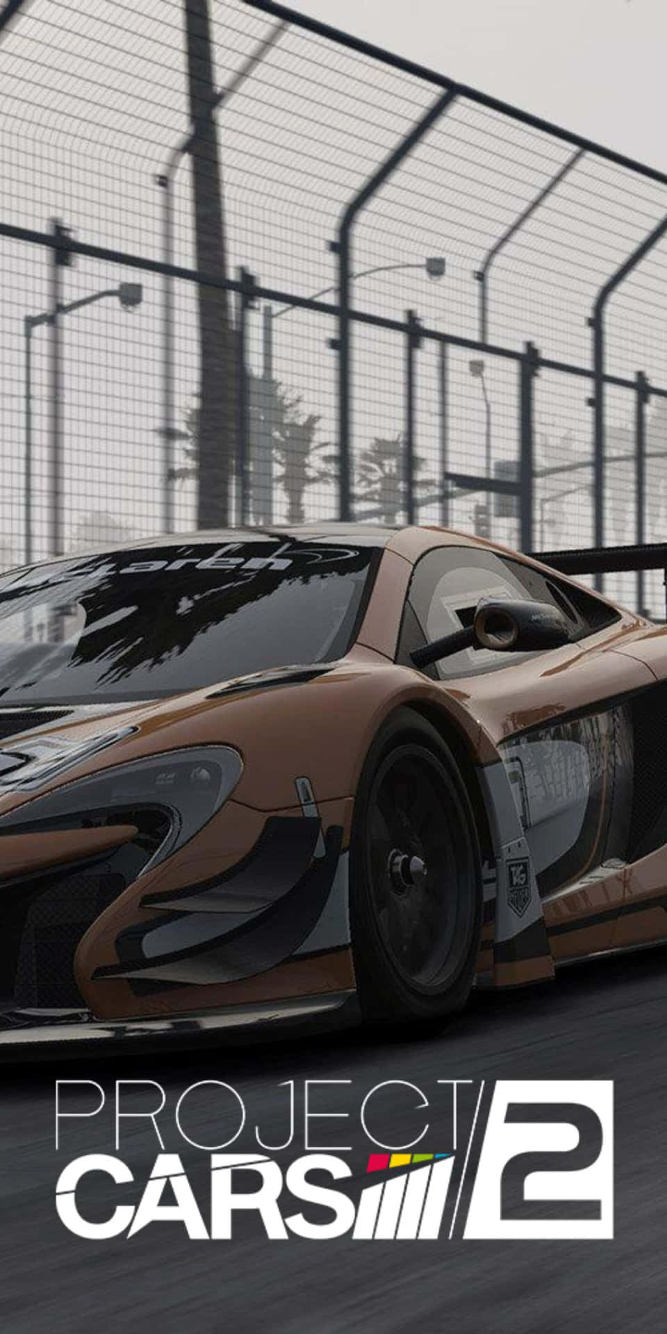 青銅色賽車在潮濕賽道上飛馳，有棕櫚樹和護欄 — Project Cars 2 壁紙