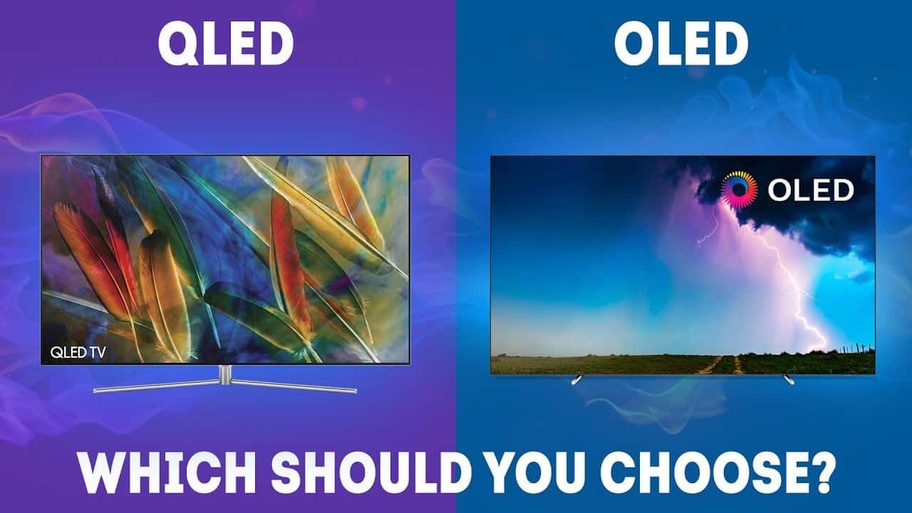 科技動圖 桌布 壁紙 — QLED 和 OLED 電視並排比較，顯示鮮豔的羽毛和風暴場景，並以粗體文字詢問該選擇哪一個。