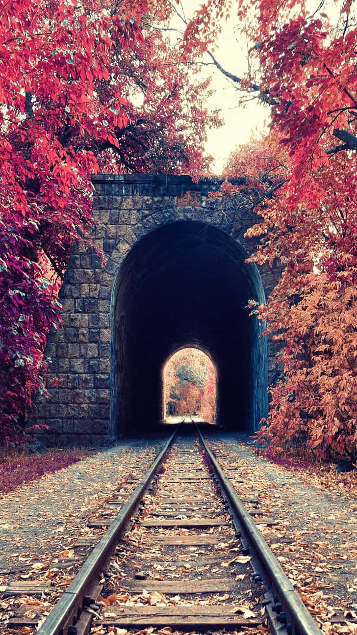  壁紙 — 鐵路軌道穿過一個石隧道，隧道被鮮豔的紅色秋葉環繞，在柔和日光下。