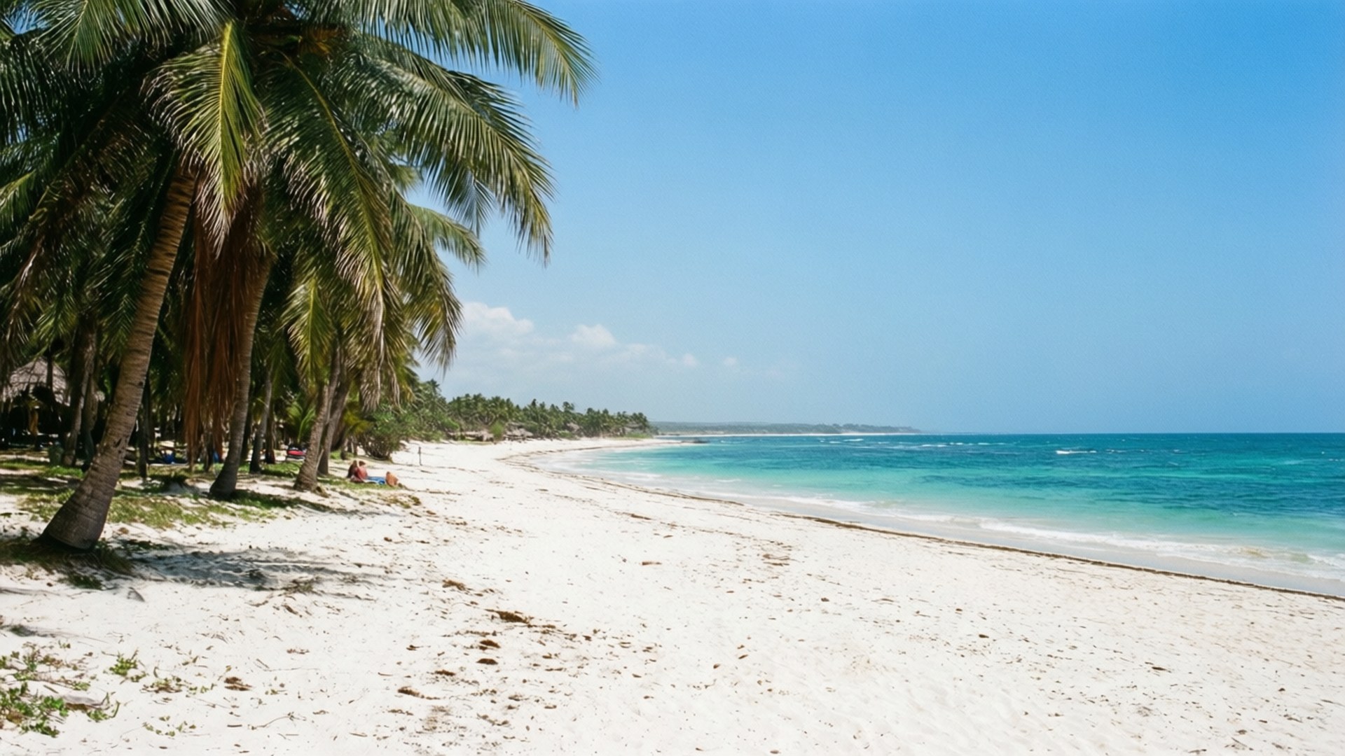 Diani Beach Bliss 壁紙 — 熱帶海灘，白色沙灘、棕櫚樹和碧綠海洋，在清澈藍天下。