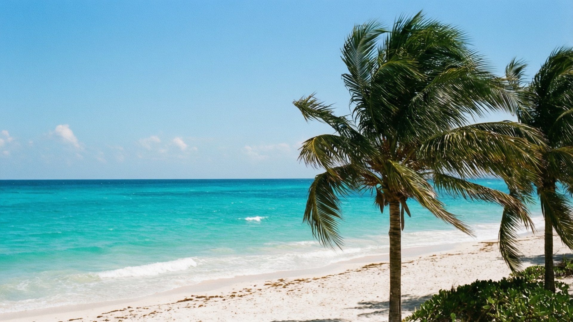 Cancun Turquoise Beach 壁紙 — 熱帶海灘場景，碧綠的海浪拍打著白色沙灘，清澈的藍天下棕櫚樹搖曳。