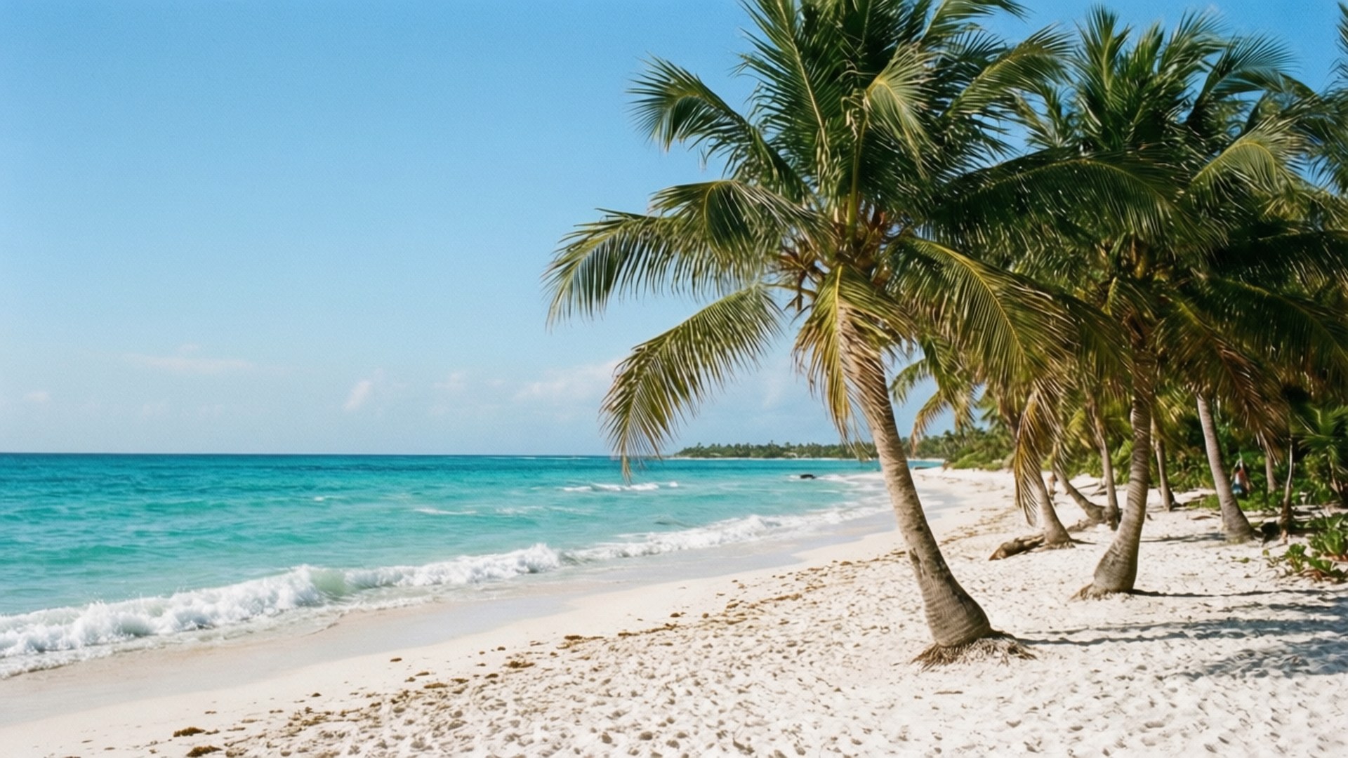Caribbean Paradise Beach 壁紙 — 熱帶海灘，有白沙、碧綠海水和傾斜的棕櫚樹，在清澈的藍天下。