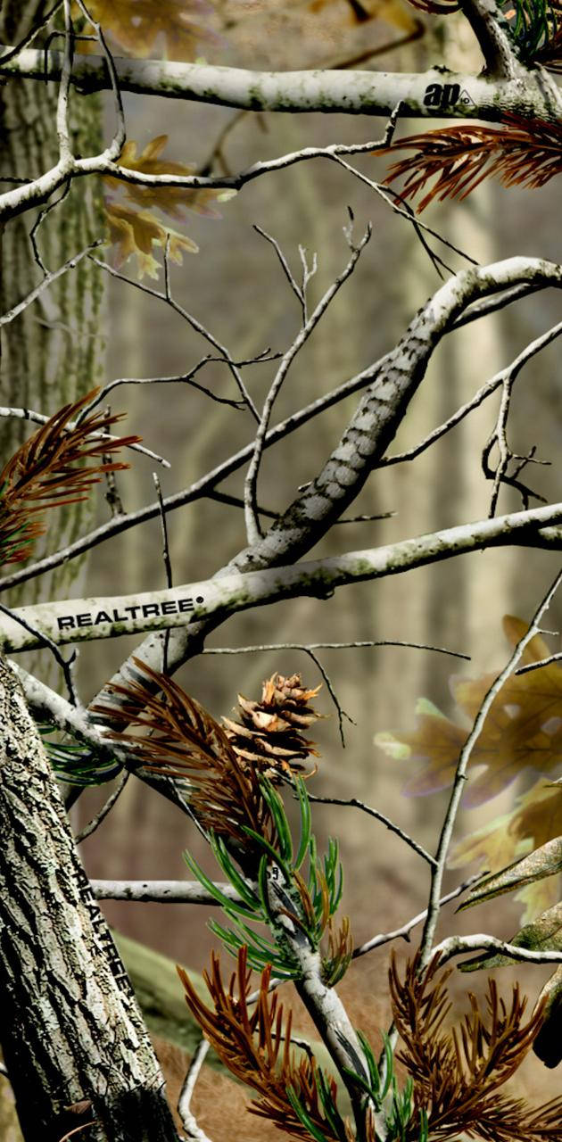 trees 桌布 壁紙 — Realtree 迷彩圖案中光禿樹枝、松果和秋葉的特寫。