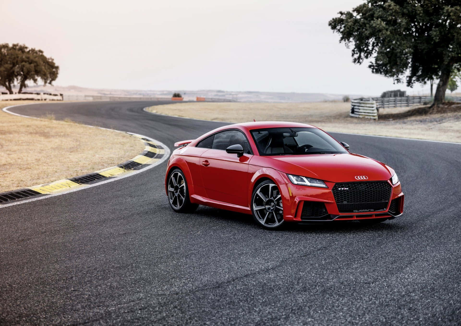 Audi Tt Rs 桌布 壁紙 — 一輛充滿活力的紅色奧迪TT RS跑車，在朦朧天空下，沿著一條兩旁有乾草和樹木的蜿蜒瀝青賽道行駛。