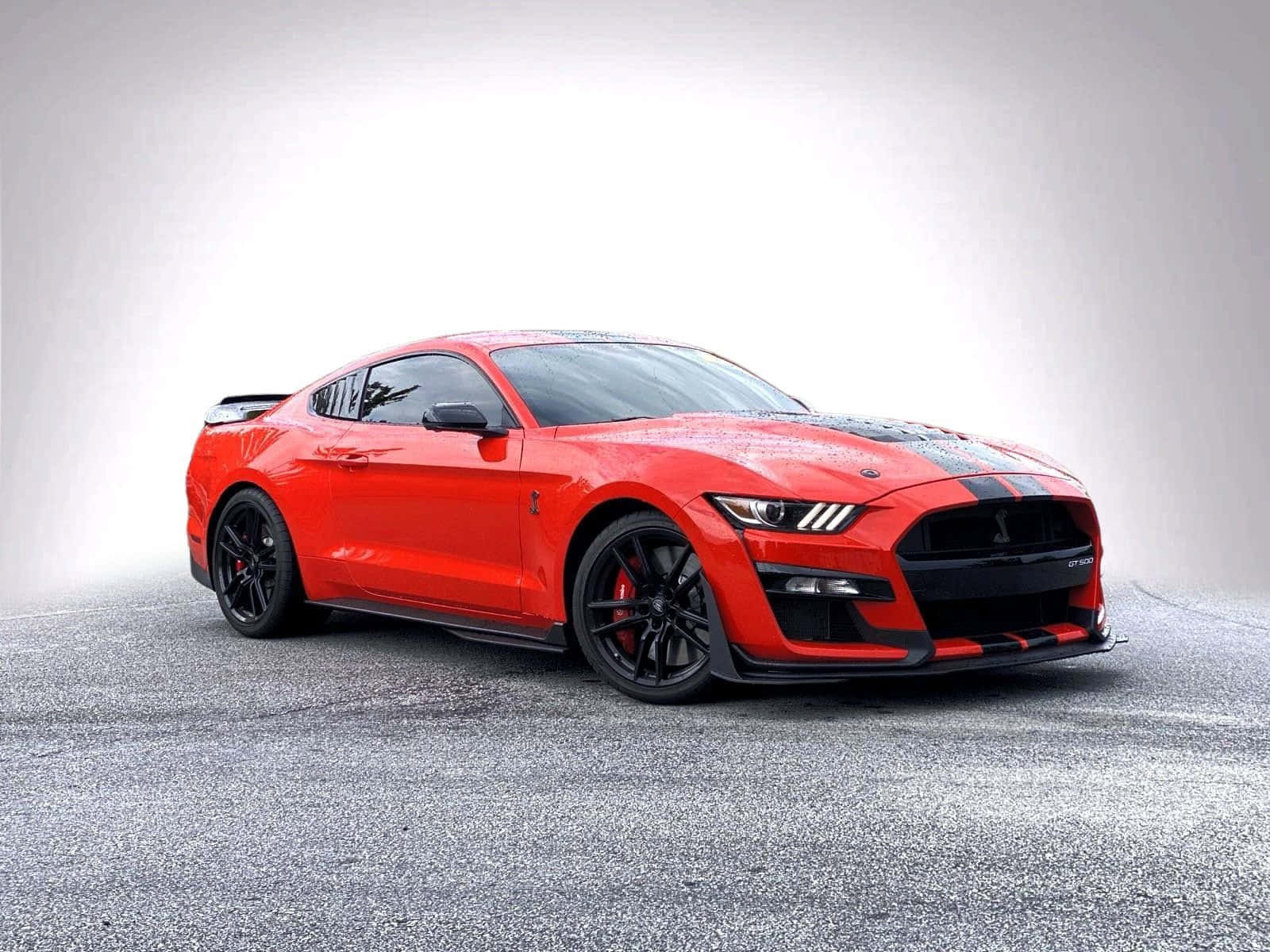  壁紙 — 一輛鮮紅色的福特野馬GT350R跑車，帶有黑色賽車條紋和黑色輪圈，停在灰色瀝青表面上，背景為明亮的白色工作室背景。