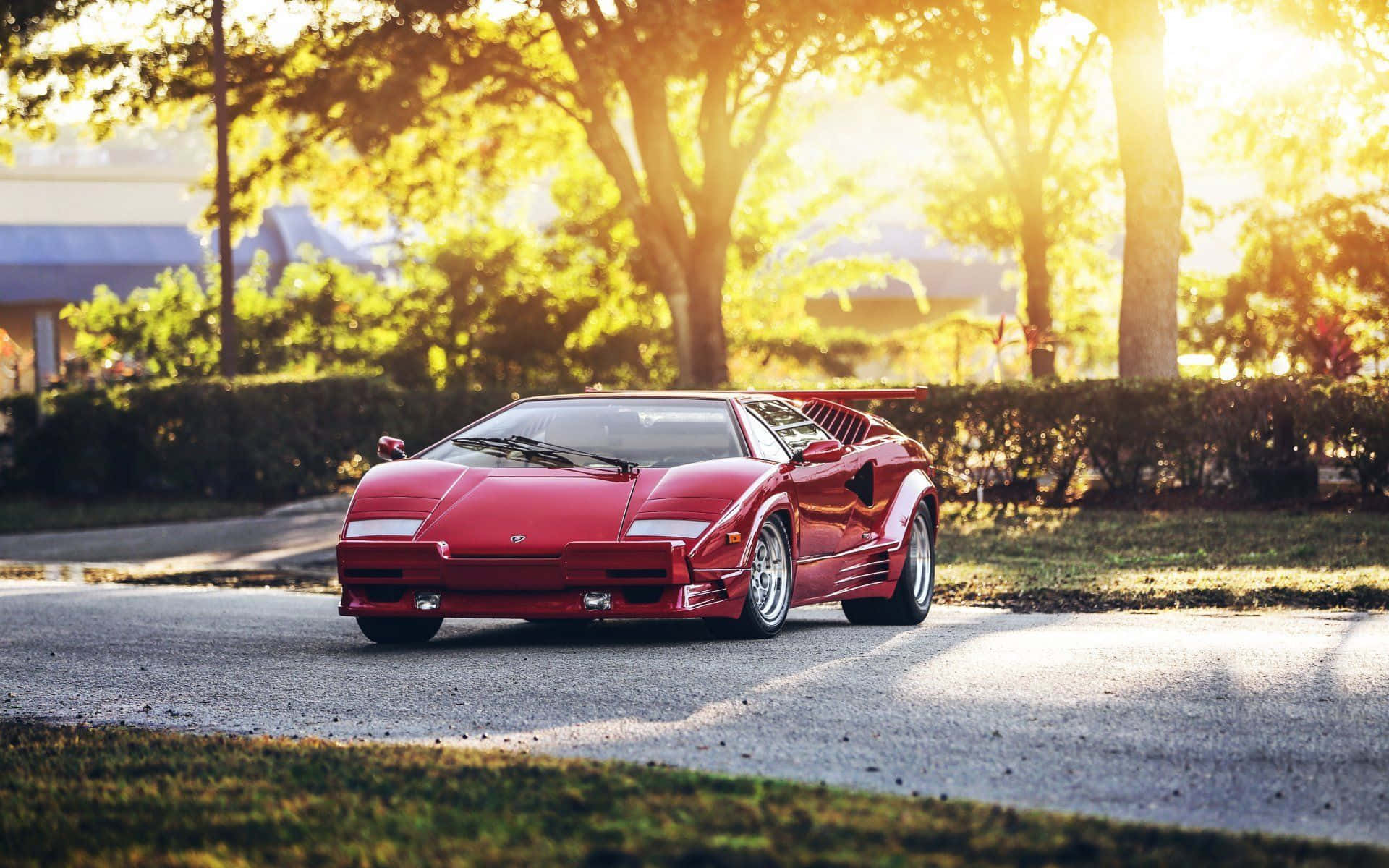 Lamborghini Countach 桌布 壁紙 — 一輛鮮紅色的藍寶堅尼Countach在金色夕陽下閃耀，沿著綠樹成蔭的郊區道路行駛。