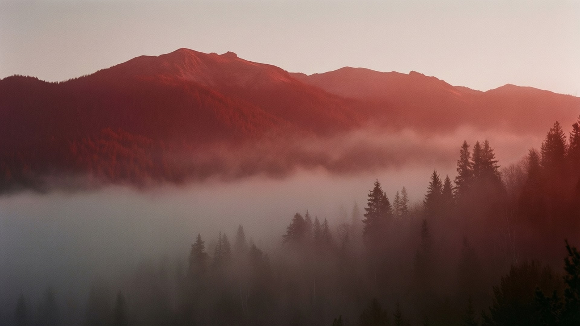 Misty Red Mountain Dawn 壁紙 — 日出在霧氣籠罩的山脈和下方茂密的松樹林上投下溫暖的紅色光芒。