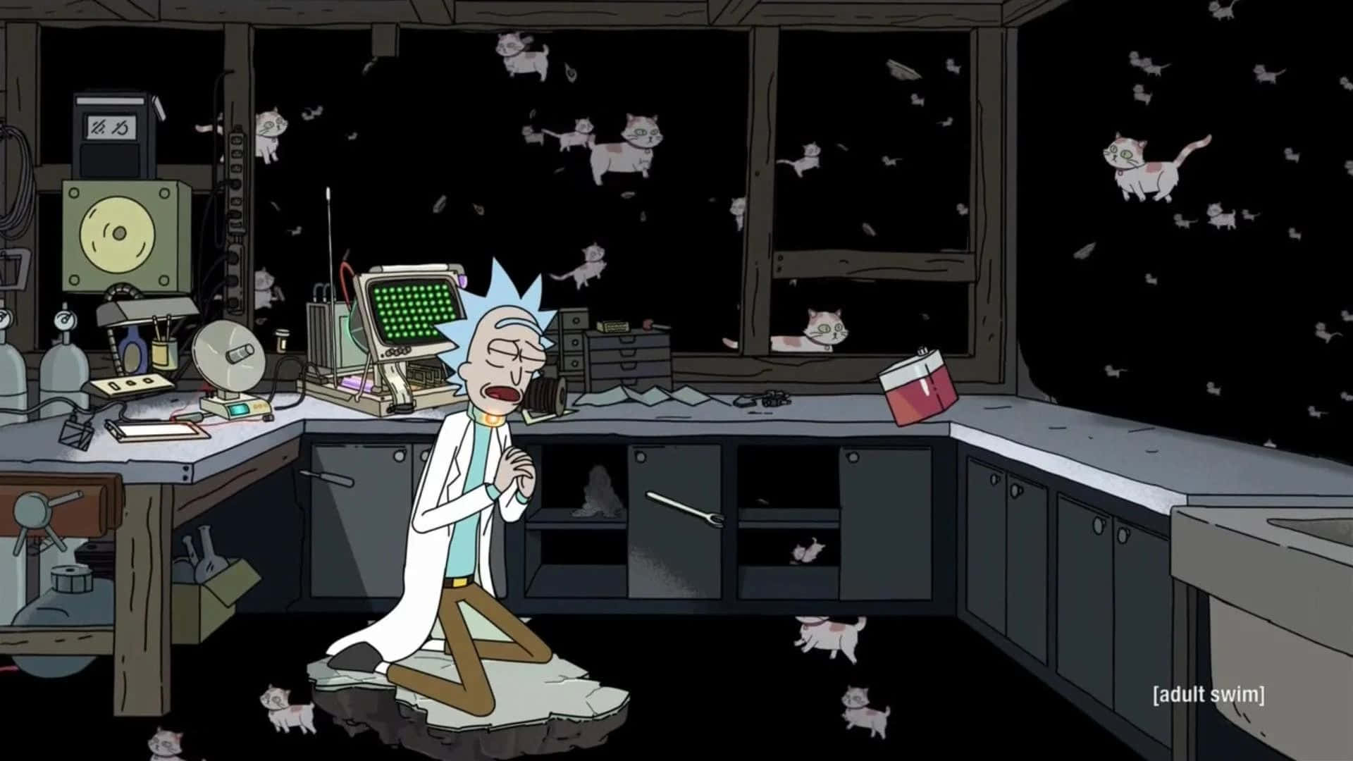 Schrodinger's Cat 桌布 壁紙 — Rick Sanchez 跪在他雜亂的實驗室中，夜晚漂浮的貓群從窗戶蜂擁而入。