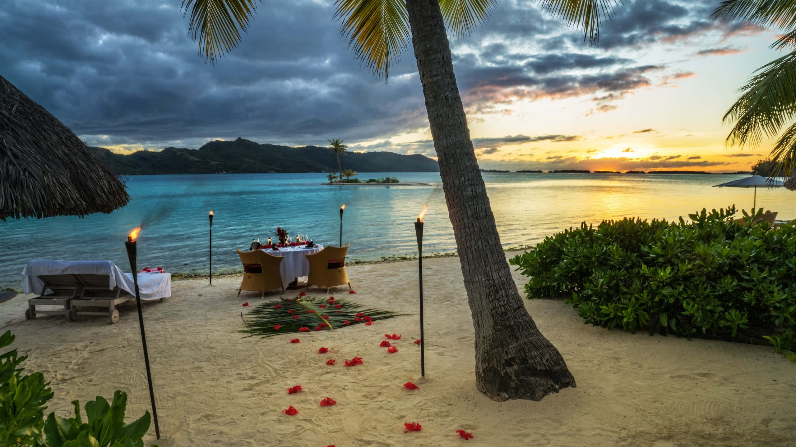 Bora Bora Beach 桌布 壁紙 — 日落時分，棕櫚樹下的浪漫海邊晚餐，散落著紅玫瑰花瓣和閃爍的火把。