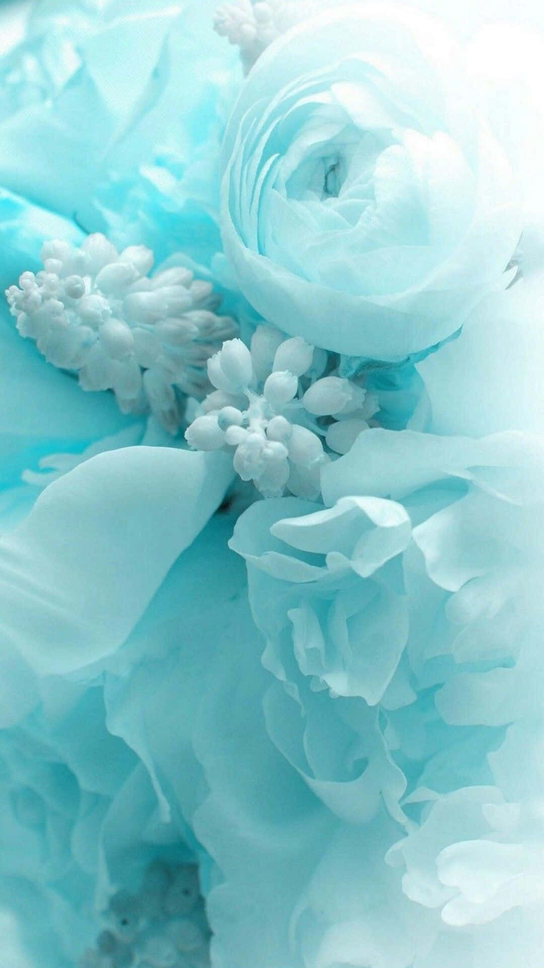 Turquoise Blue 桌布 壁紙 — 柔和粉藍與白色花朵，帶有精緻花瓣和紋理花朵，夢幻特寫。