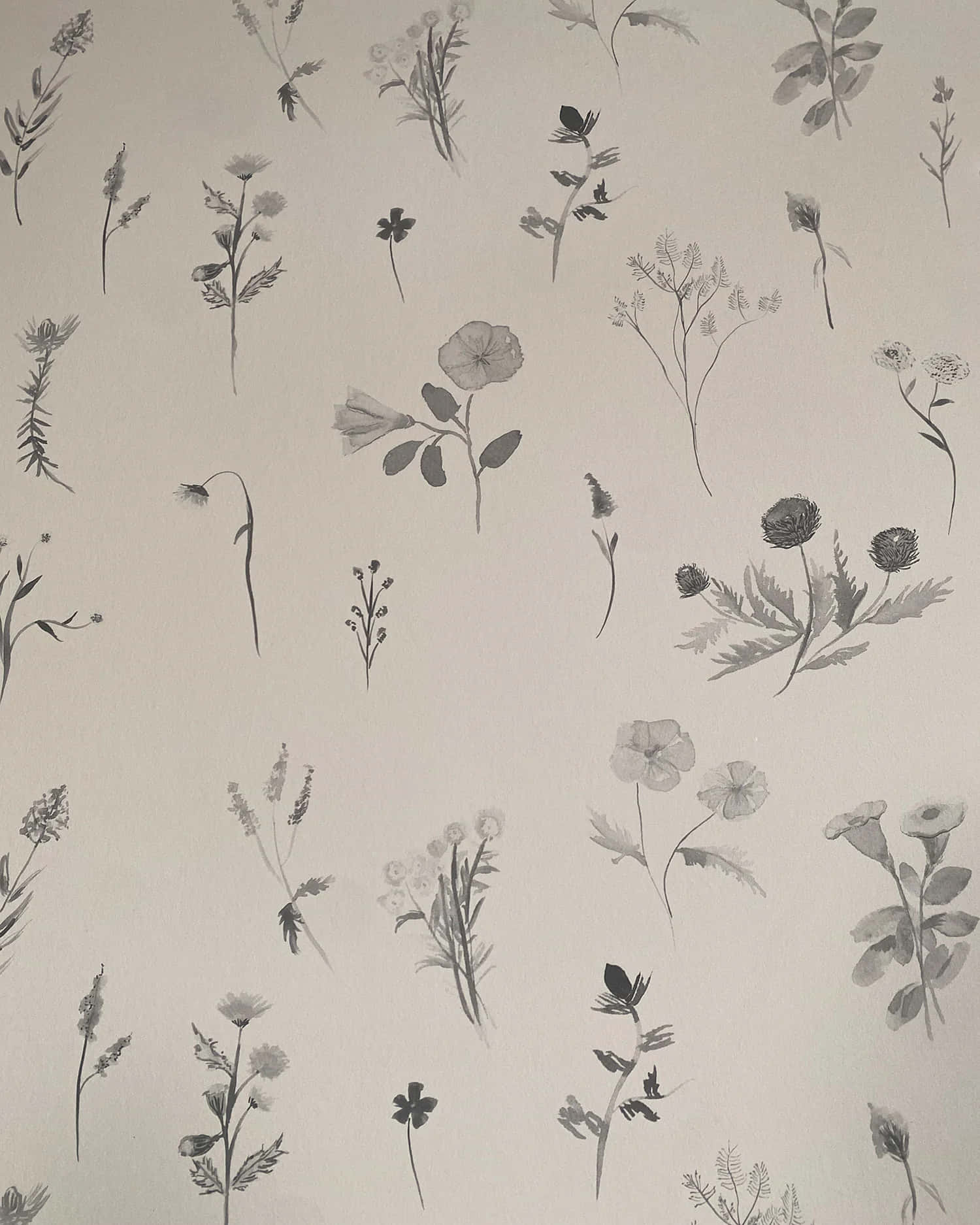  壁紙 — 柔和米色背景上散落著精緻的黑白植物插圖，描繪野花和莖幹。