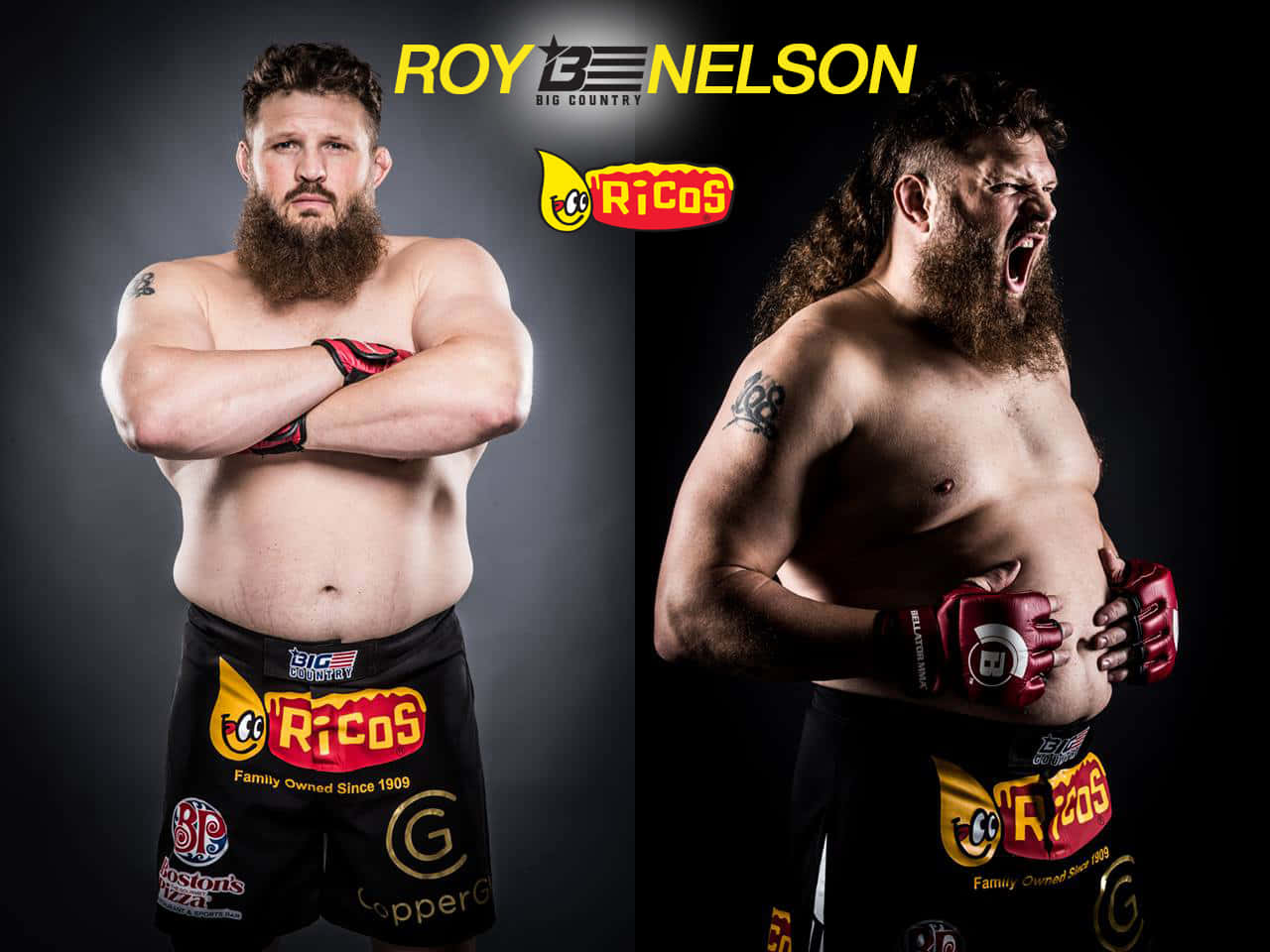 Athletics 桌布 壁紙 — Roy Nelson 自信地交叉雙臂擺姿勢，然後在穿著品牌短褲的攝影棚照片中兇猛地咆哮。