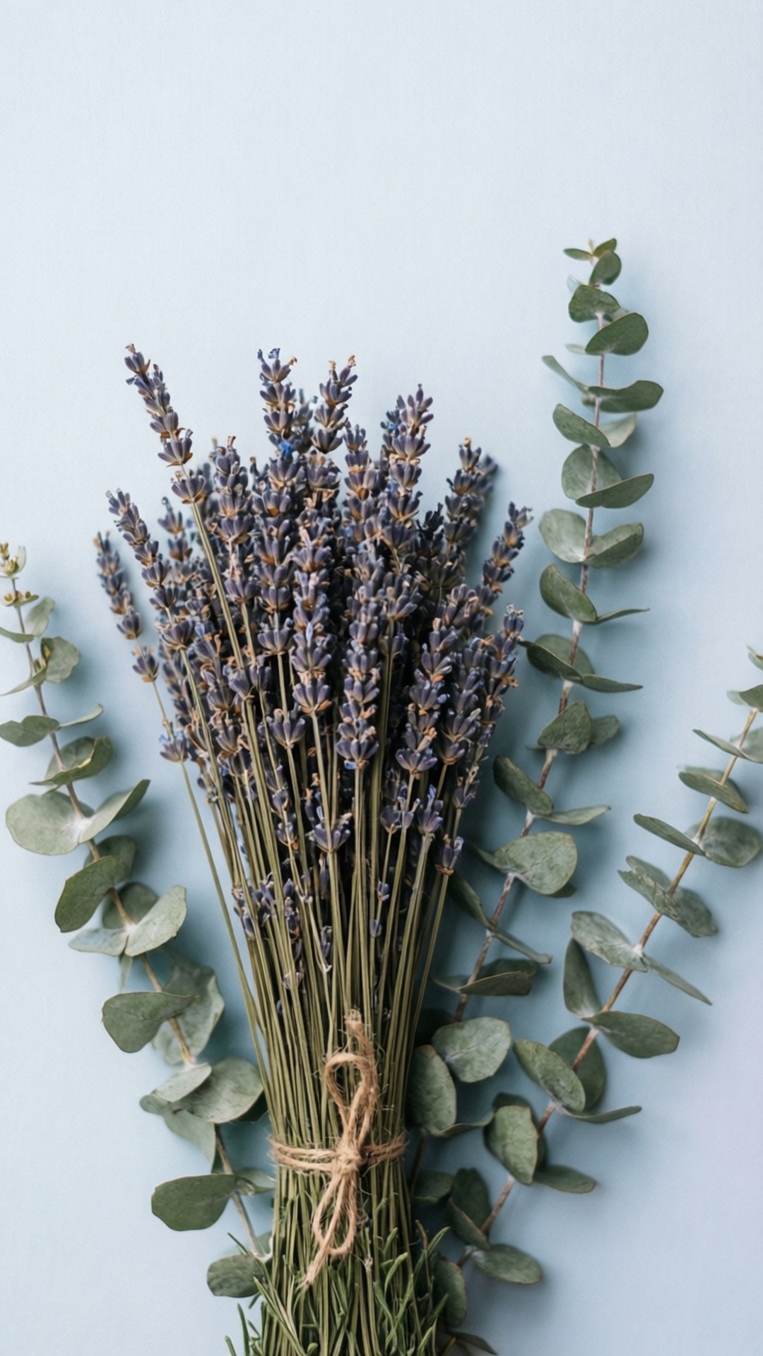 Lavender Eucalyptus 壁紙 — 一束樸素的乾燥薰衣草和尤加利葉，用麻繩捆紮，靠在柔和的藍色背景上。