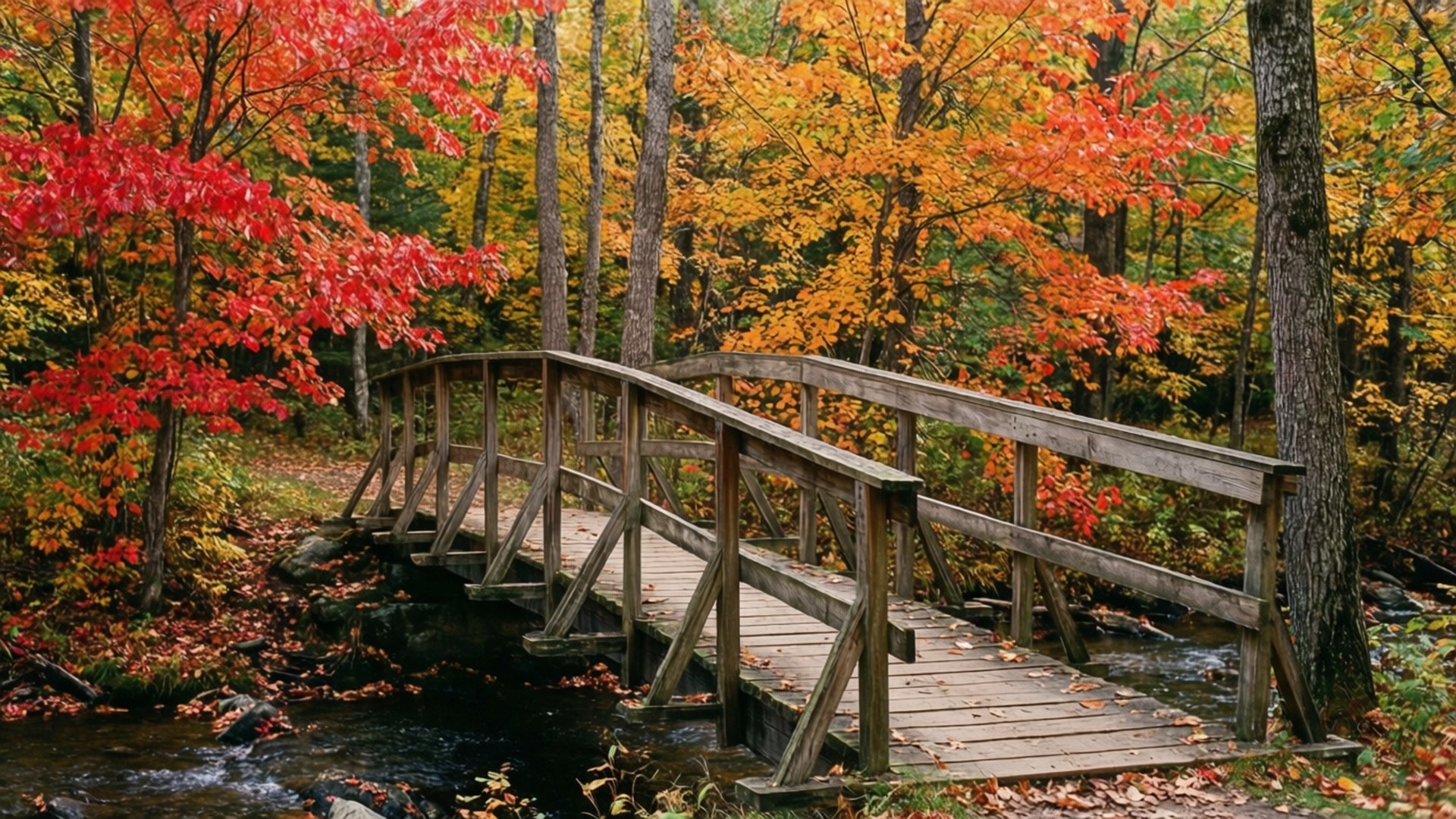 New England Autumn Bridge 壁紙 — 一座質樸的木橋拱跨在清澈的小溪上，周圍是鮮豔的紅色和橙色秋葉。