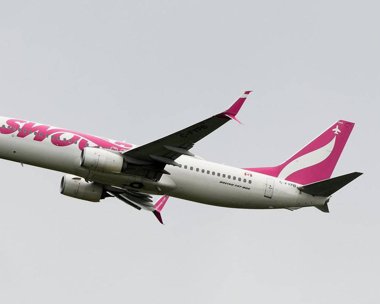 飛機 桌布 壁紙 — Scoot Airlines 的波音 737 MAX 8 飛機在陰天中翱翔，帶有醒目的粉紅色品牌標誌和加拿大國旗。